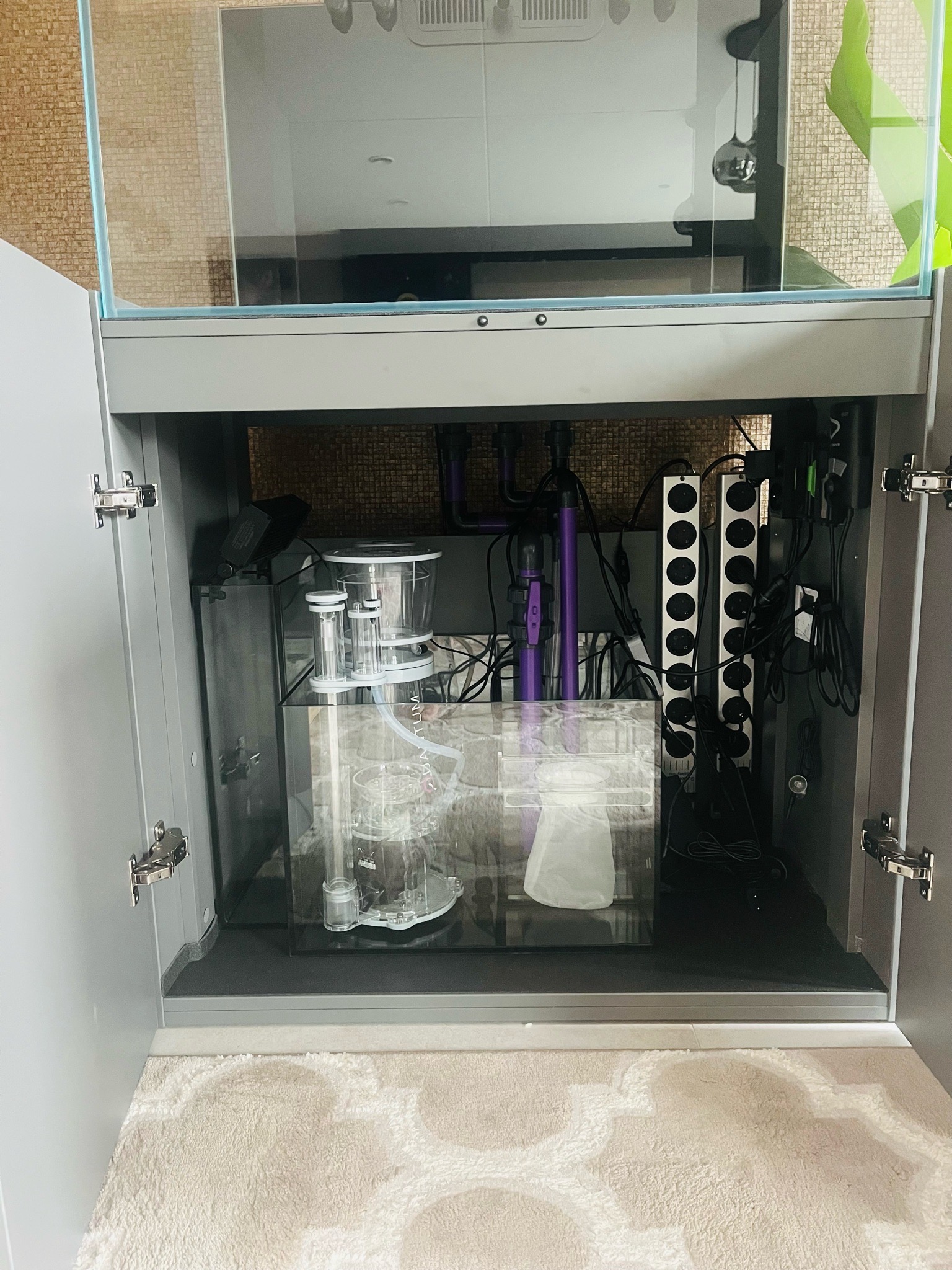 Reef tank sump setup with skimmer and plumbing showcase (photo 4)