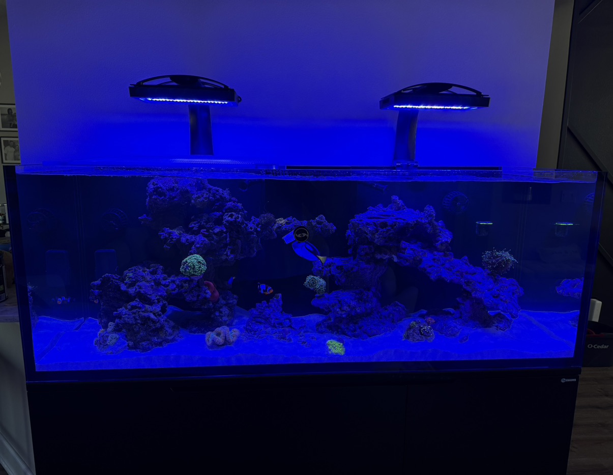 Tank Image