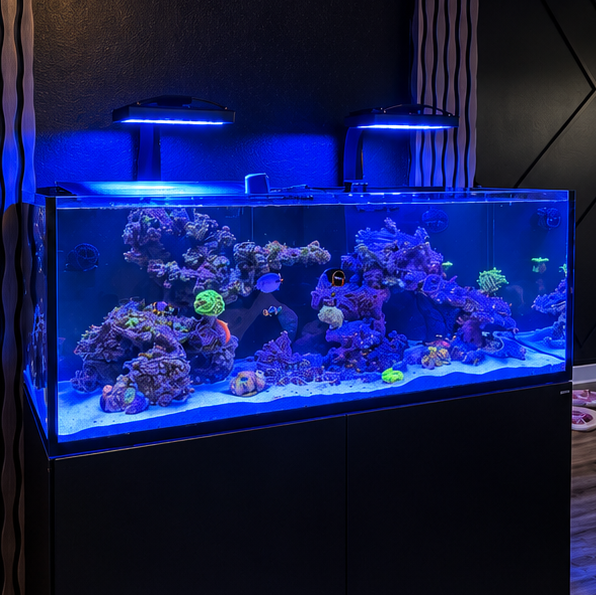 Tank Image