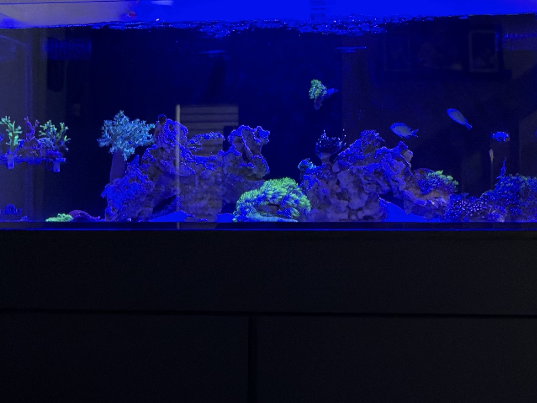 Tank Image