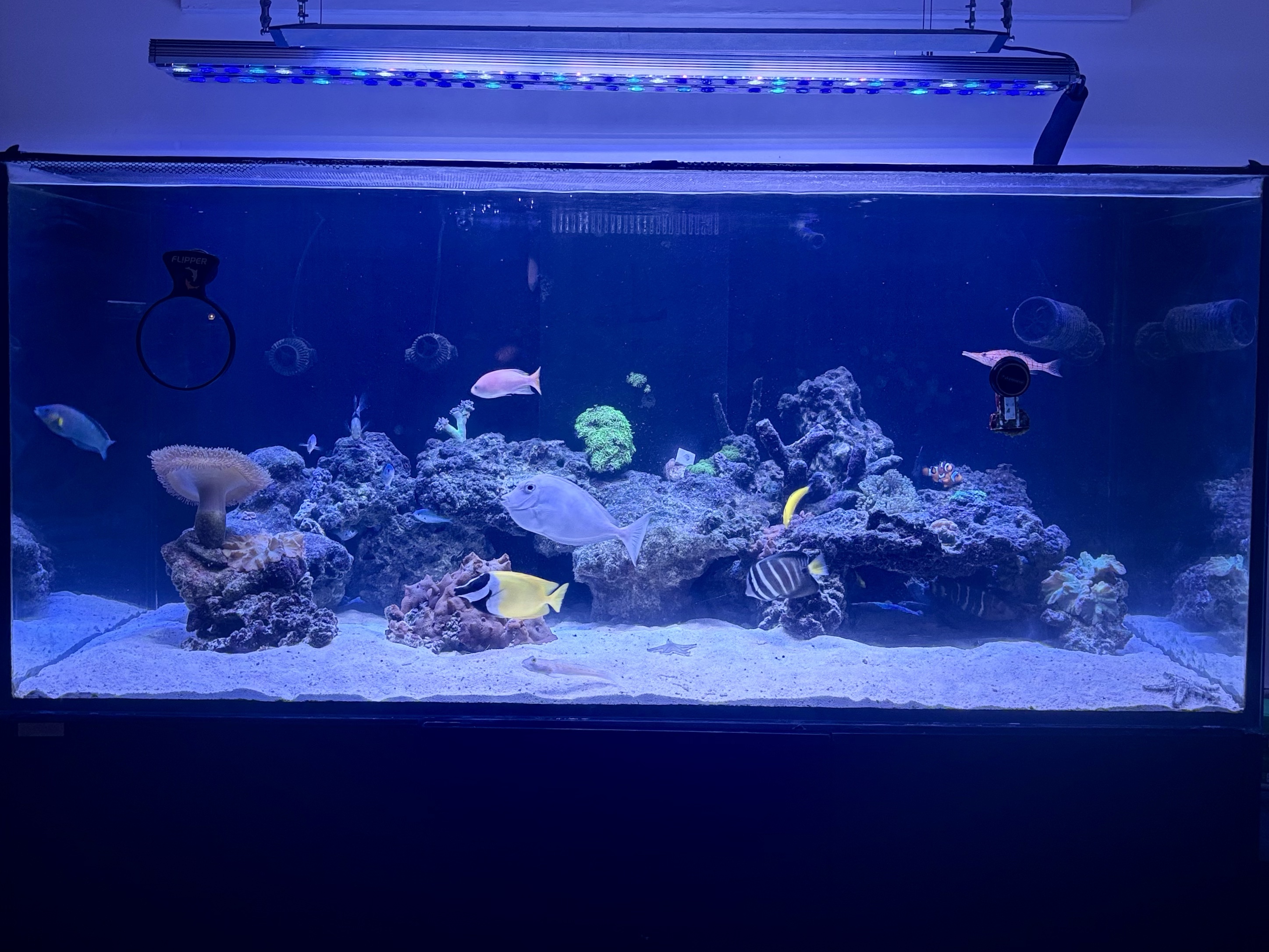 Tank Image