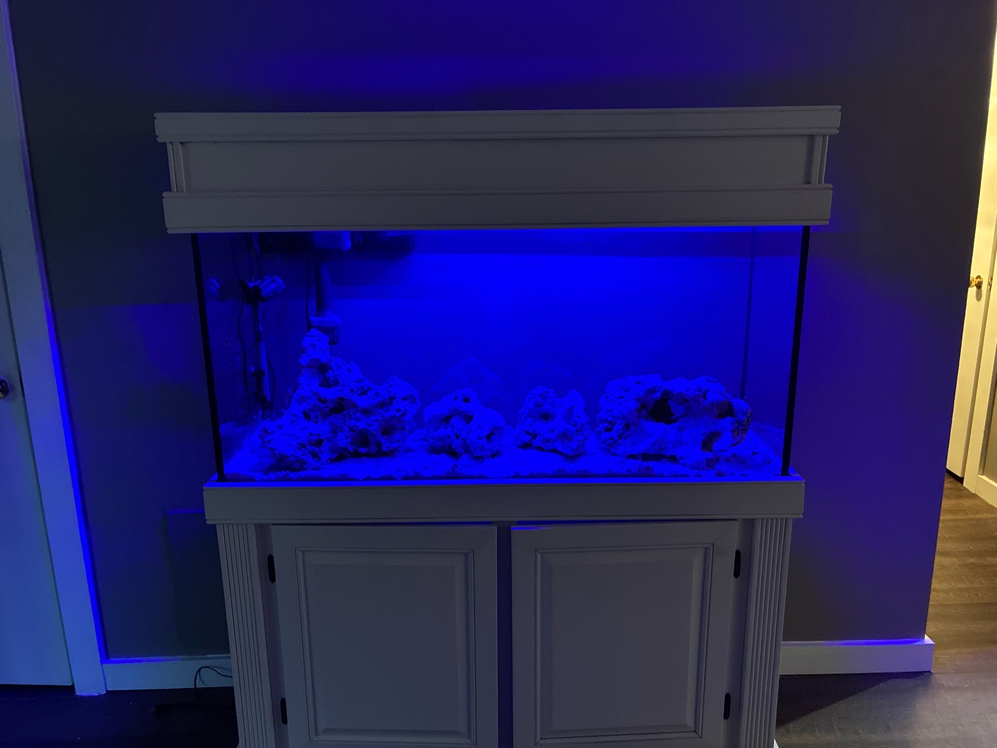 75 gallon reef tank setup with live rock and led lighting (photo 3)