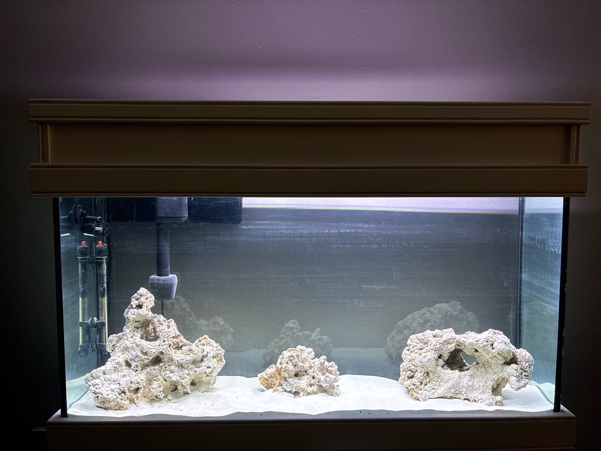 Saltwater aquarium with live rock and sand base setup