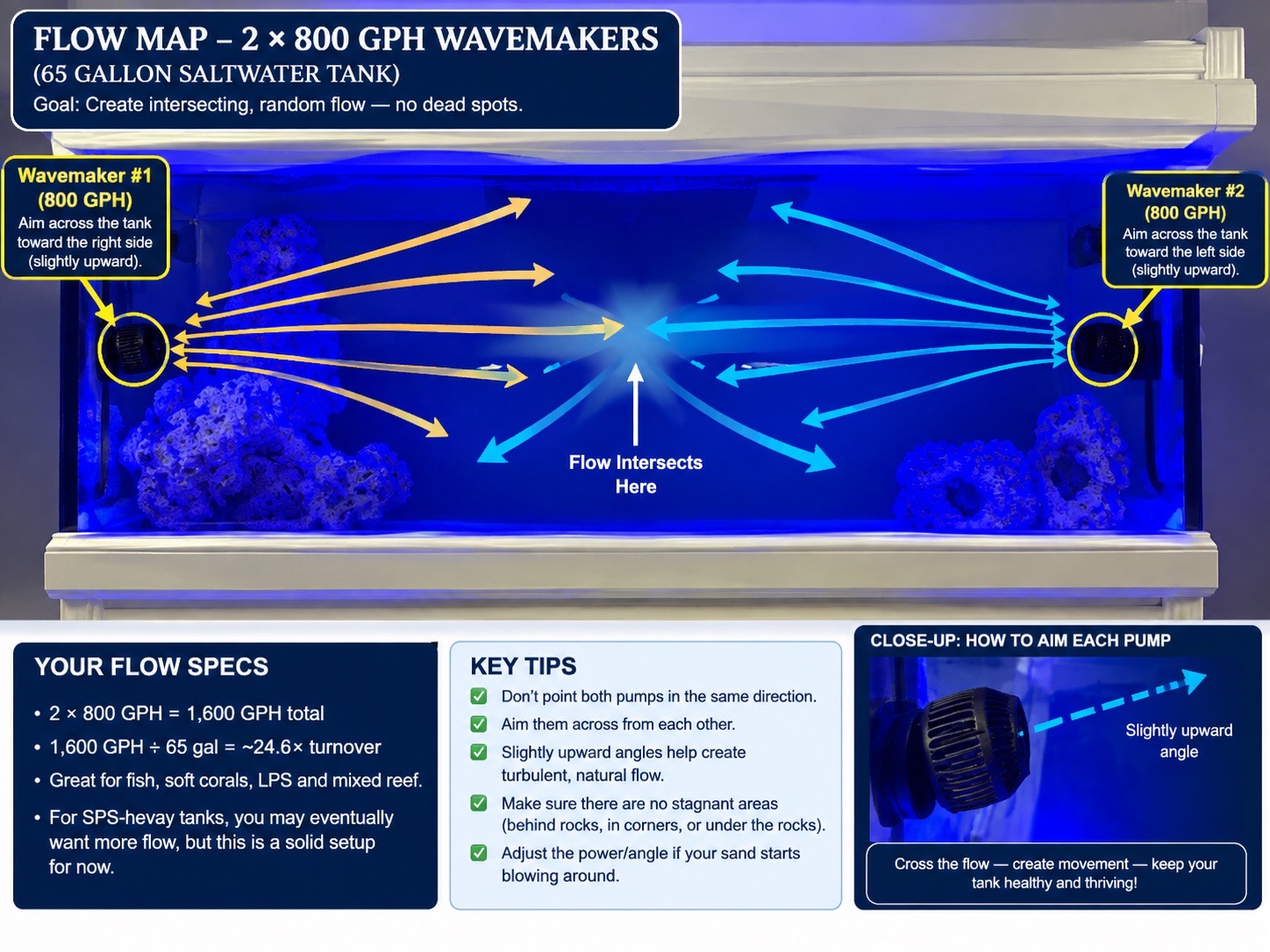 Is 1600 gph flow enough for a 65 gallon reef tank with soft corals and - fish, soft corals, LPS