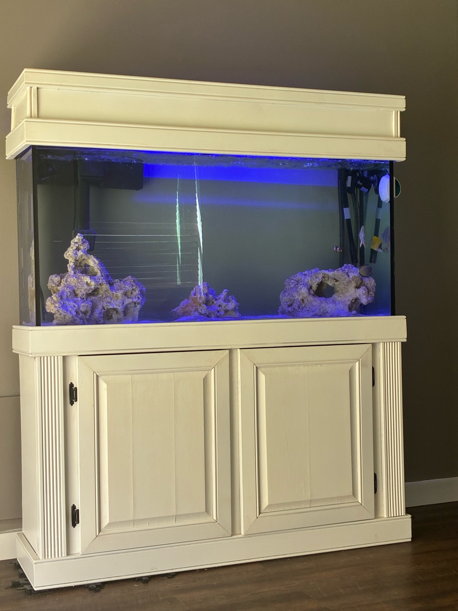 Saltwater tank with live rock and clownfish setup - clownfish, yellow tang
