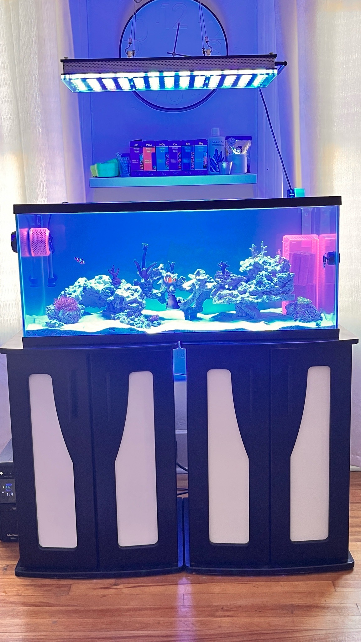Emergency upgrade from Biocube to 40B tank with Orphek fixture