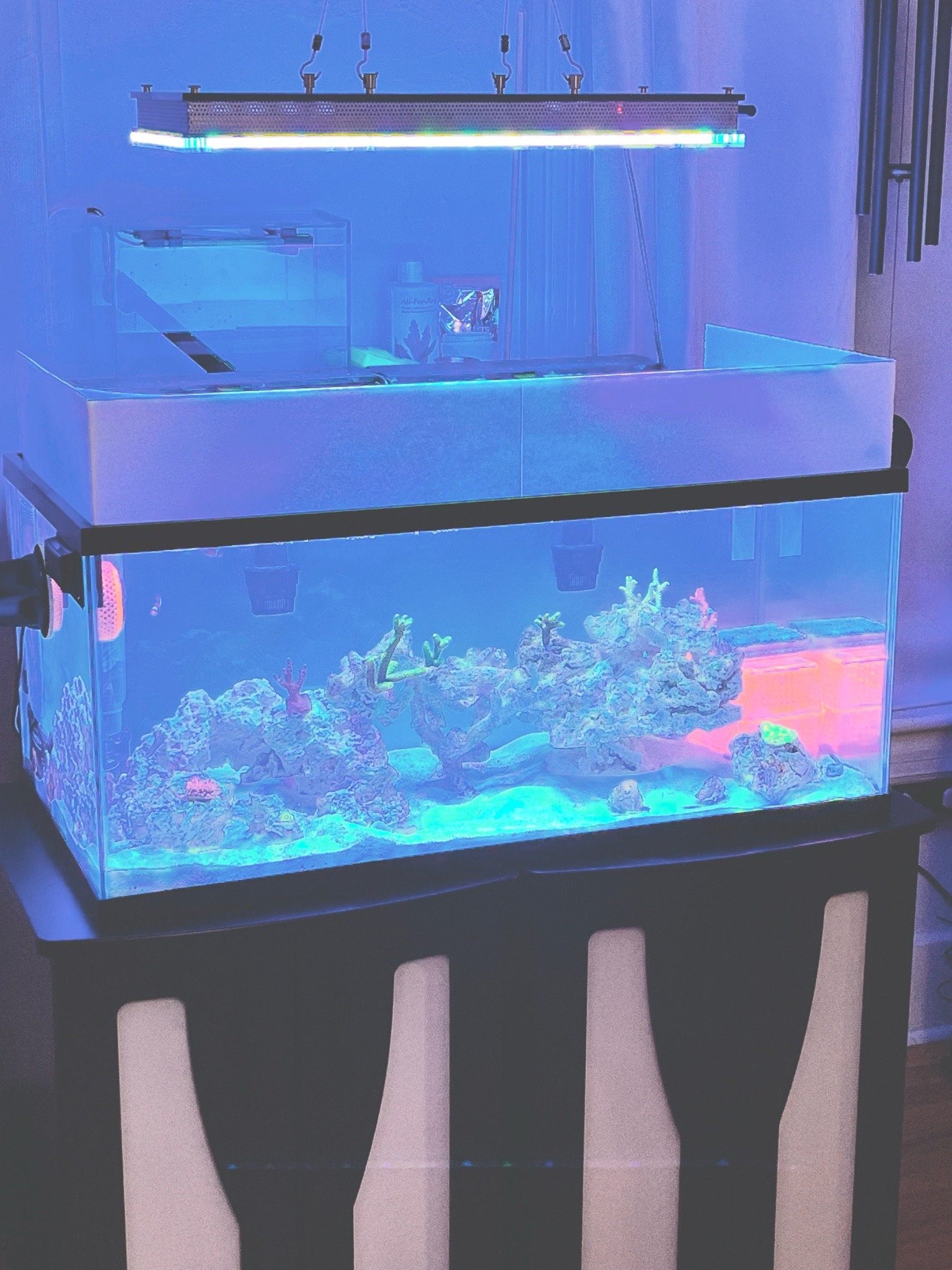 Building a white acrylic canopy with mesh top for reef tank