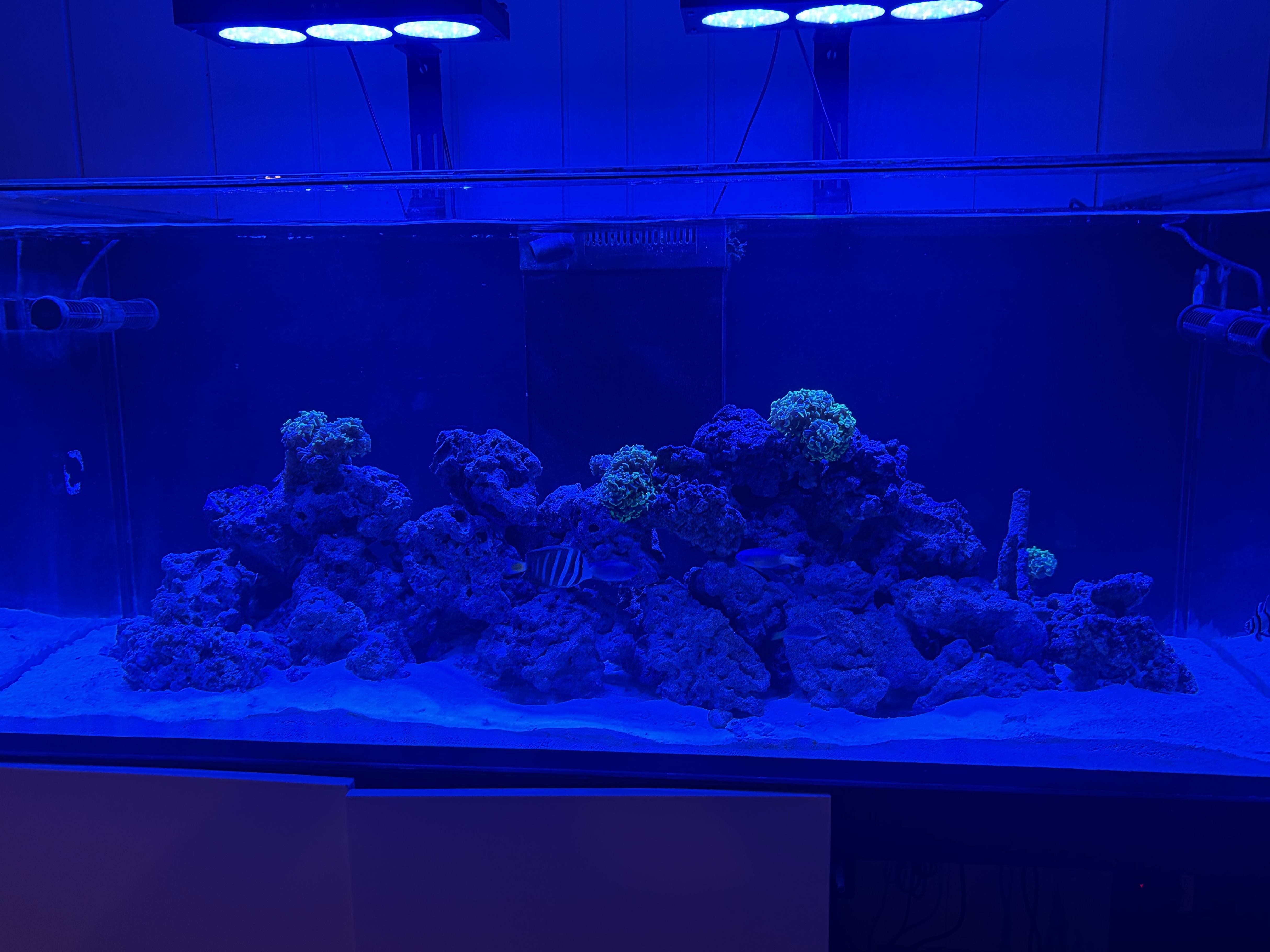 Tank Image
