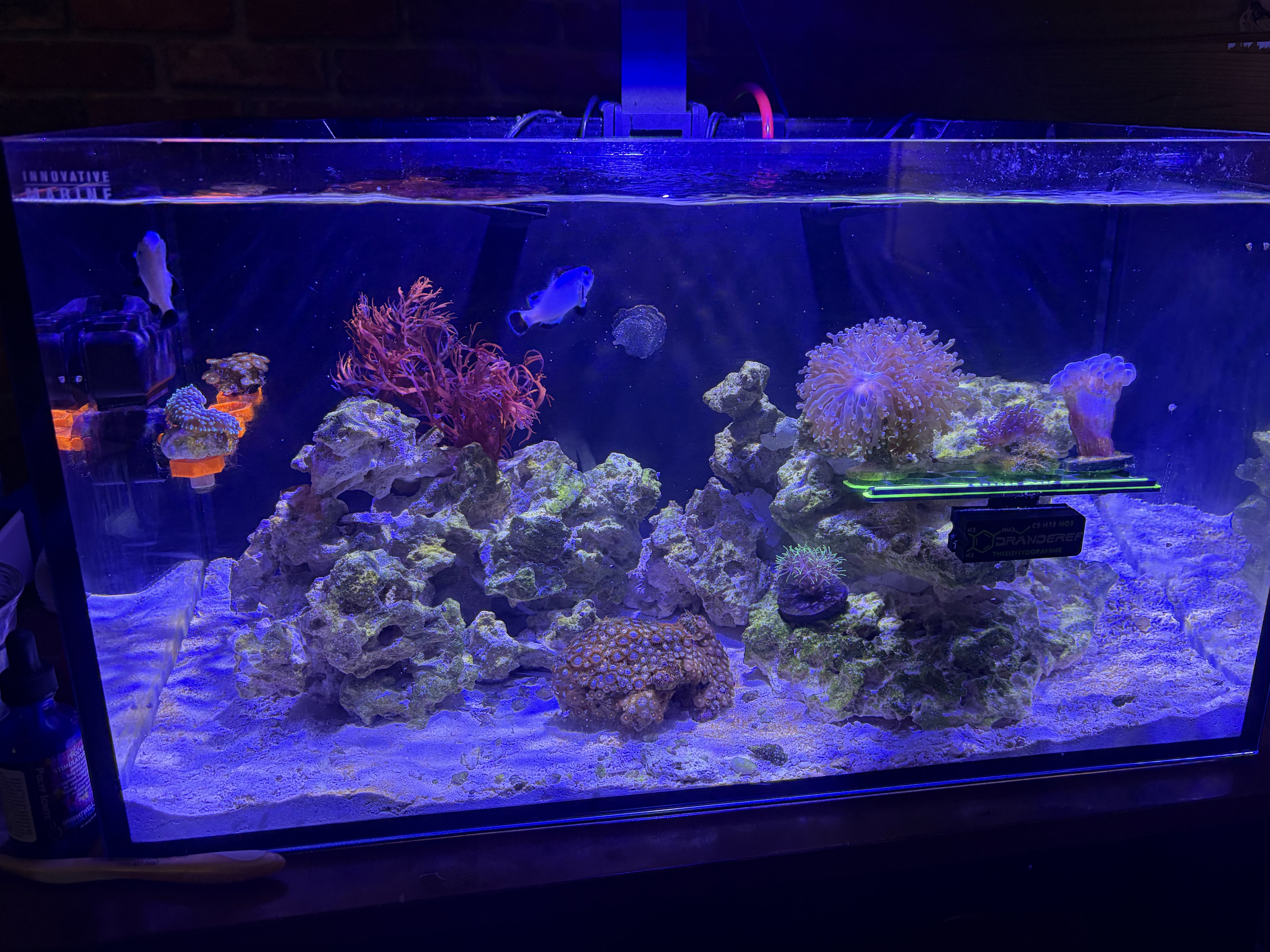 Tank Image