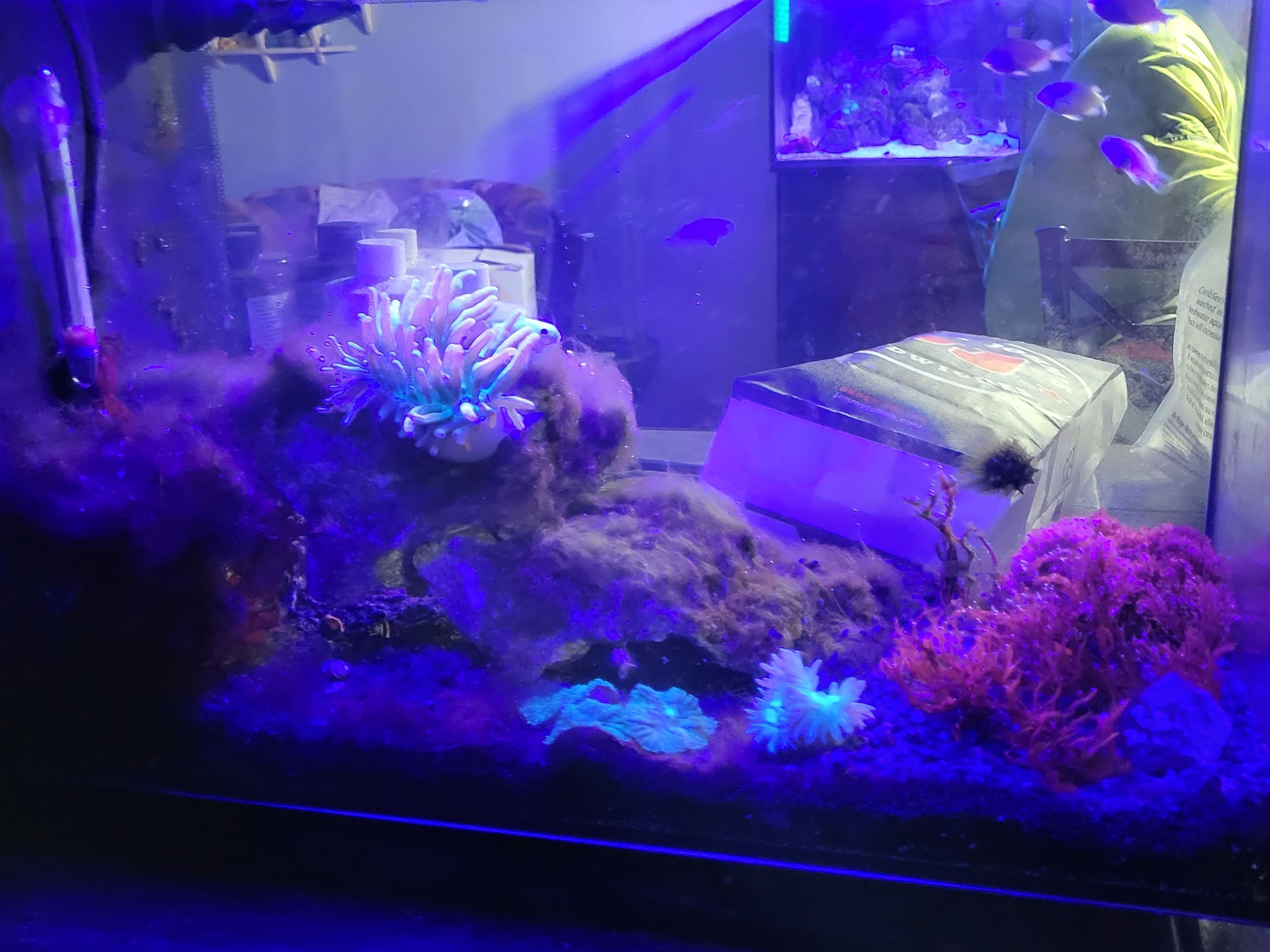 Tank Image