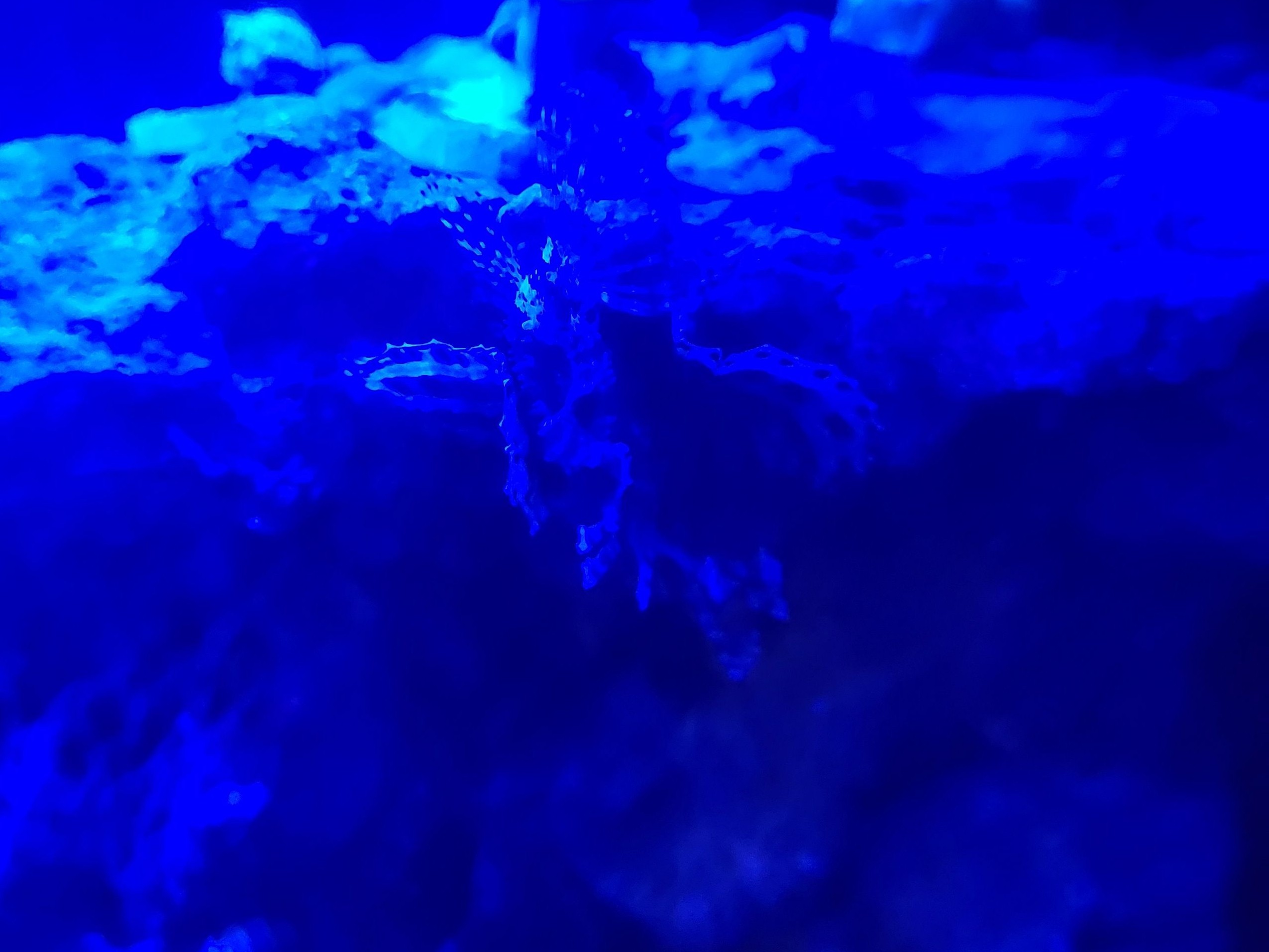 Tank Image