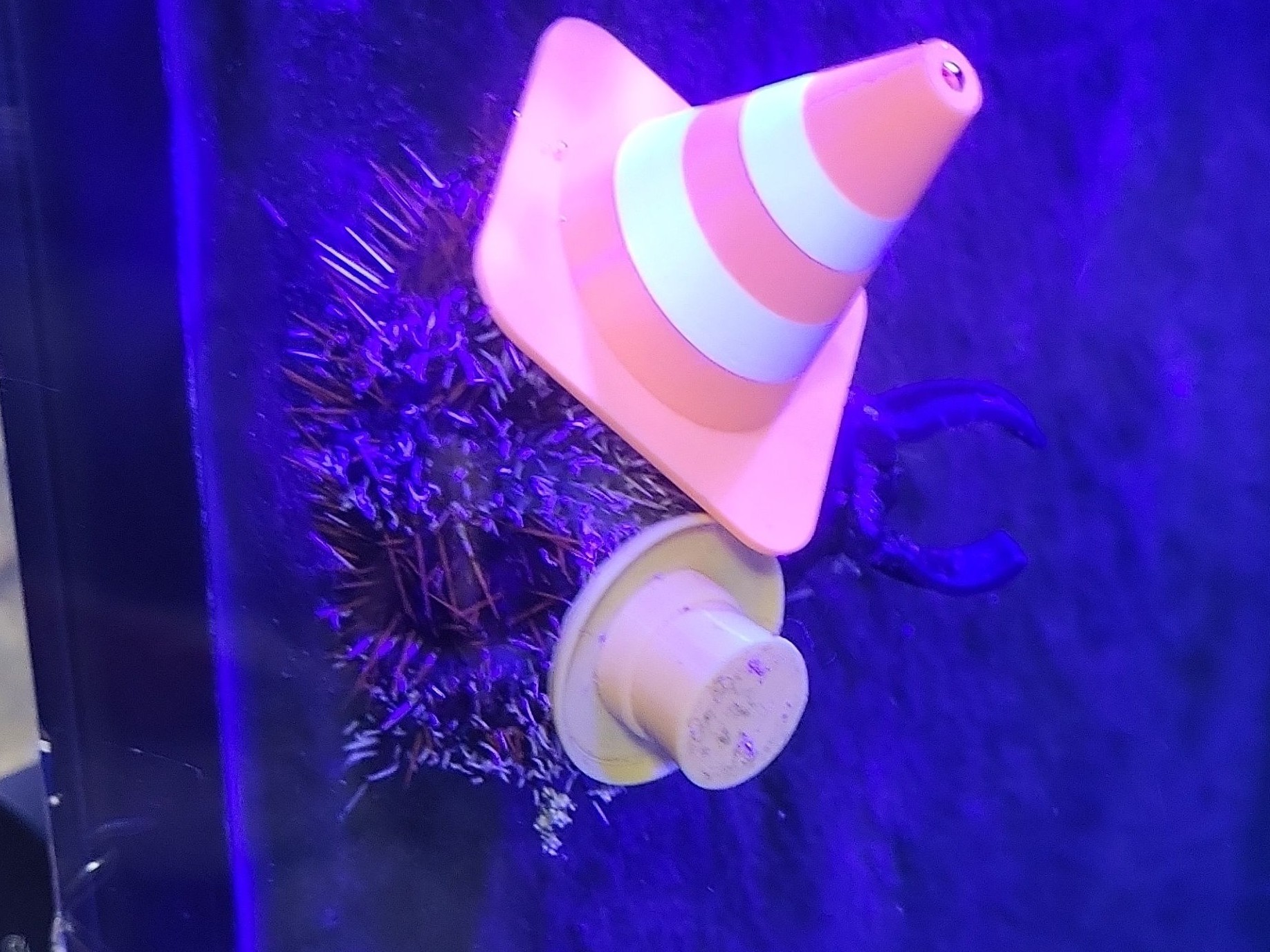 Tank Image