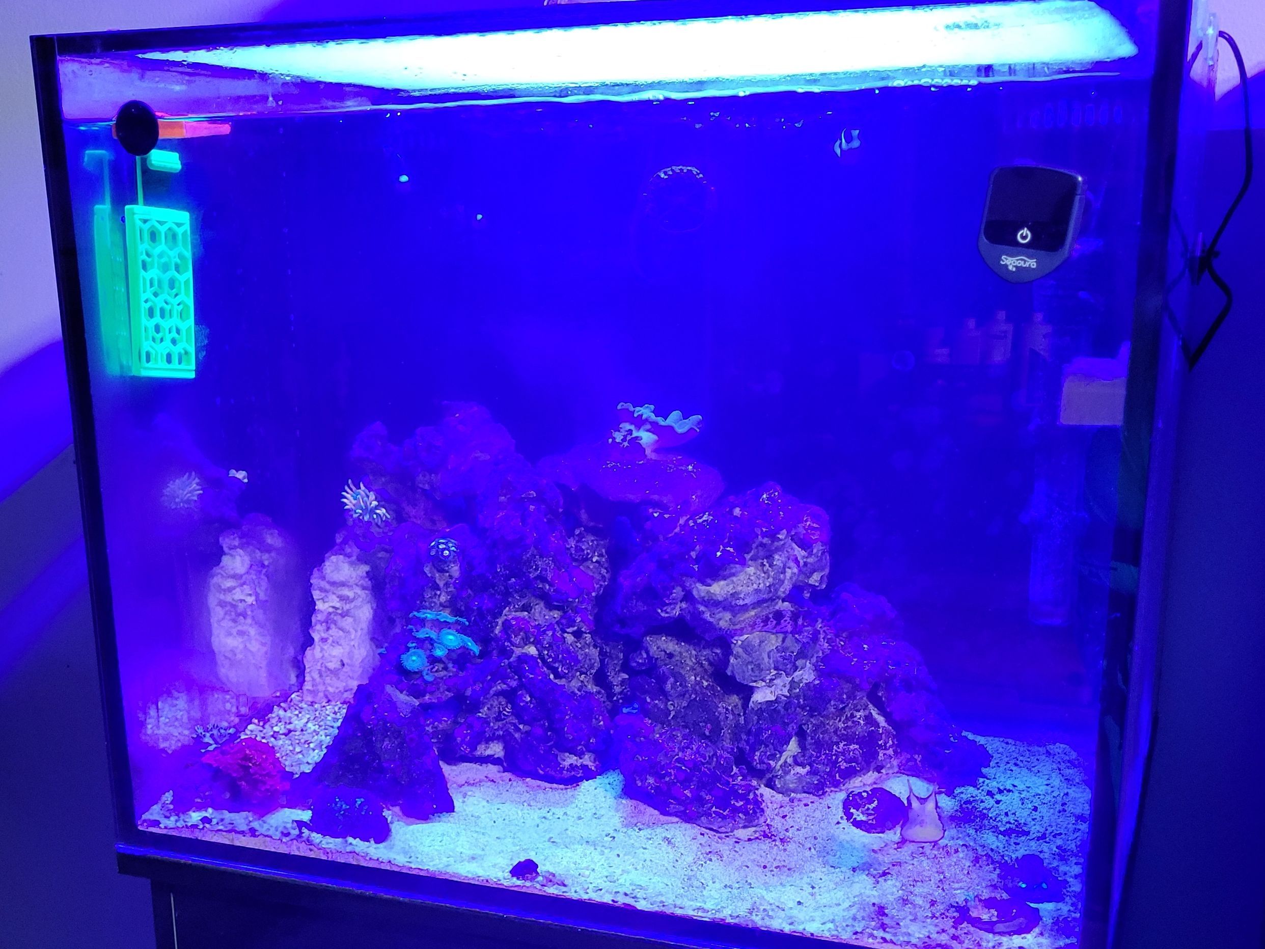 Tank Image