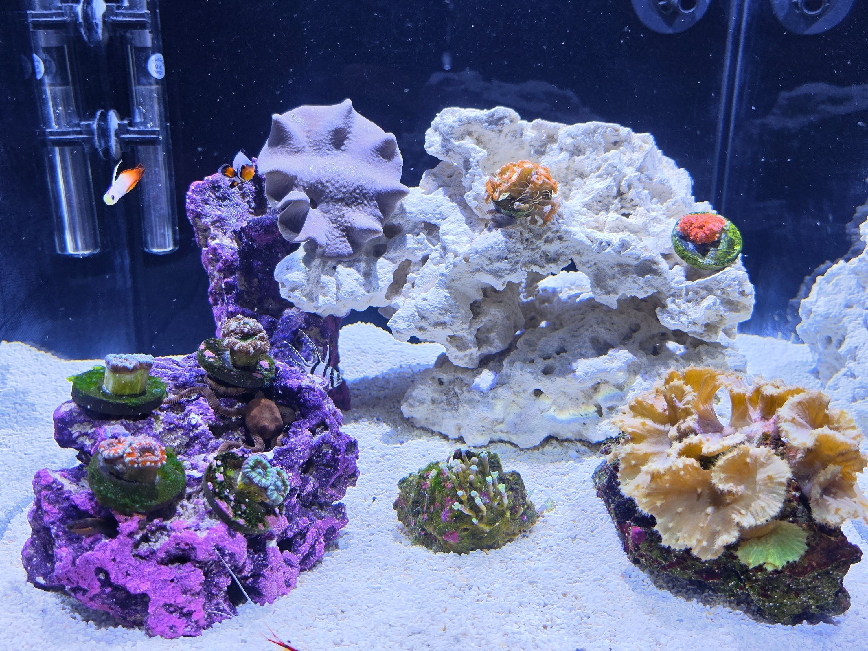 Tank Image
