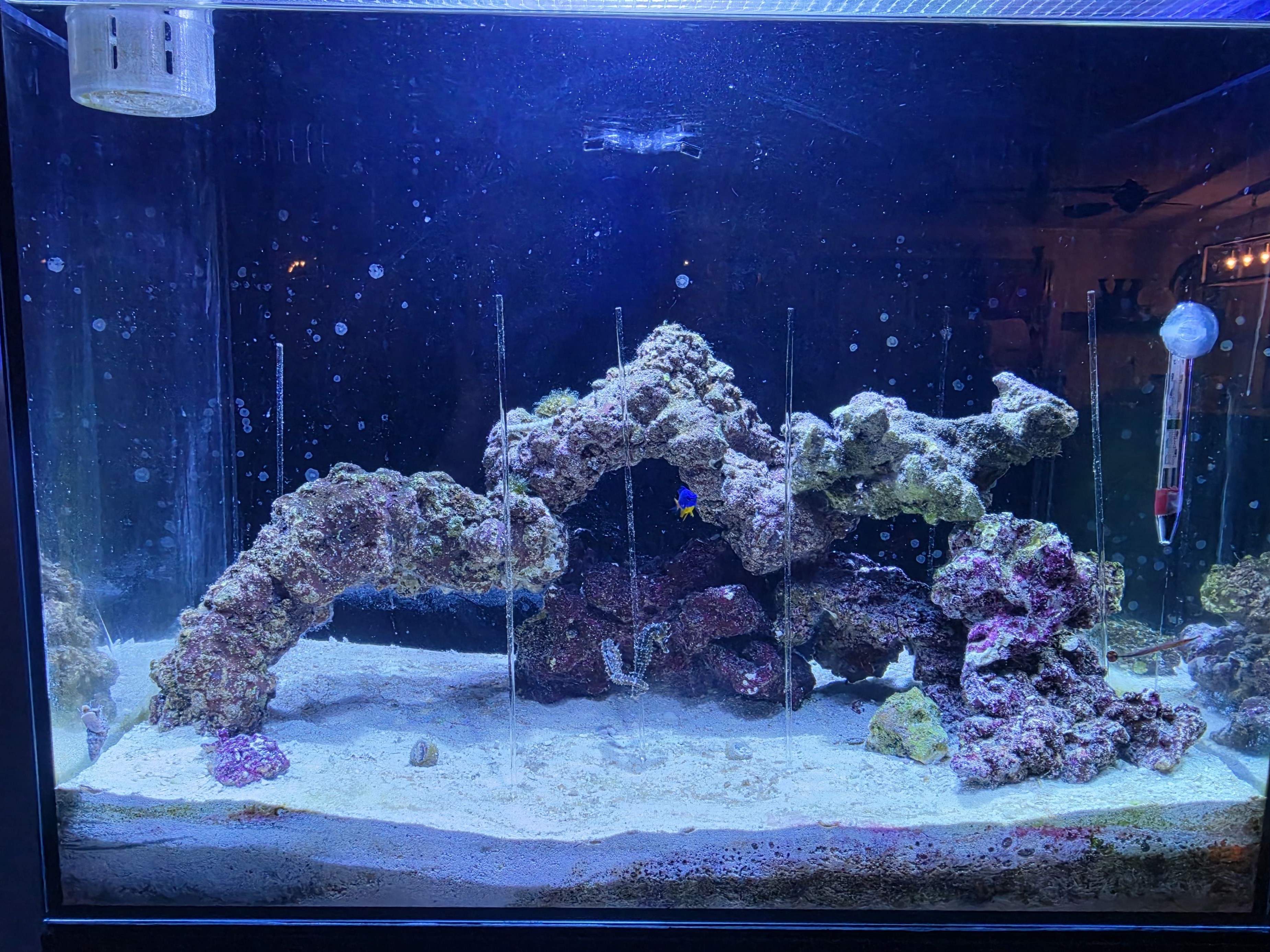 Tank Image