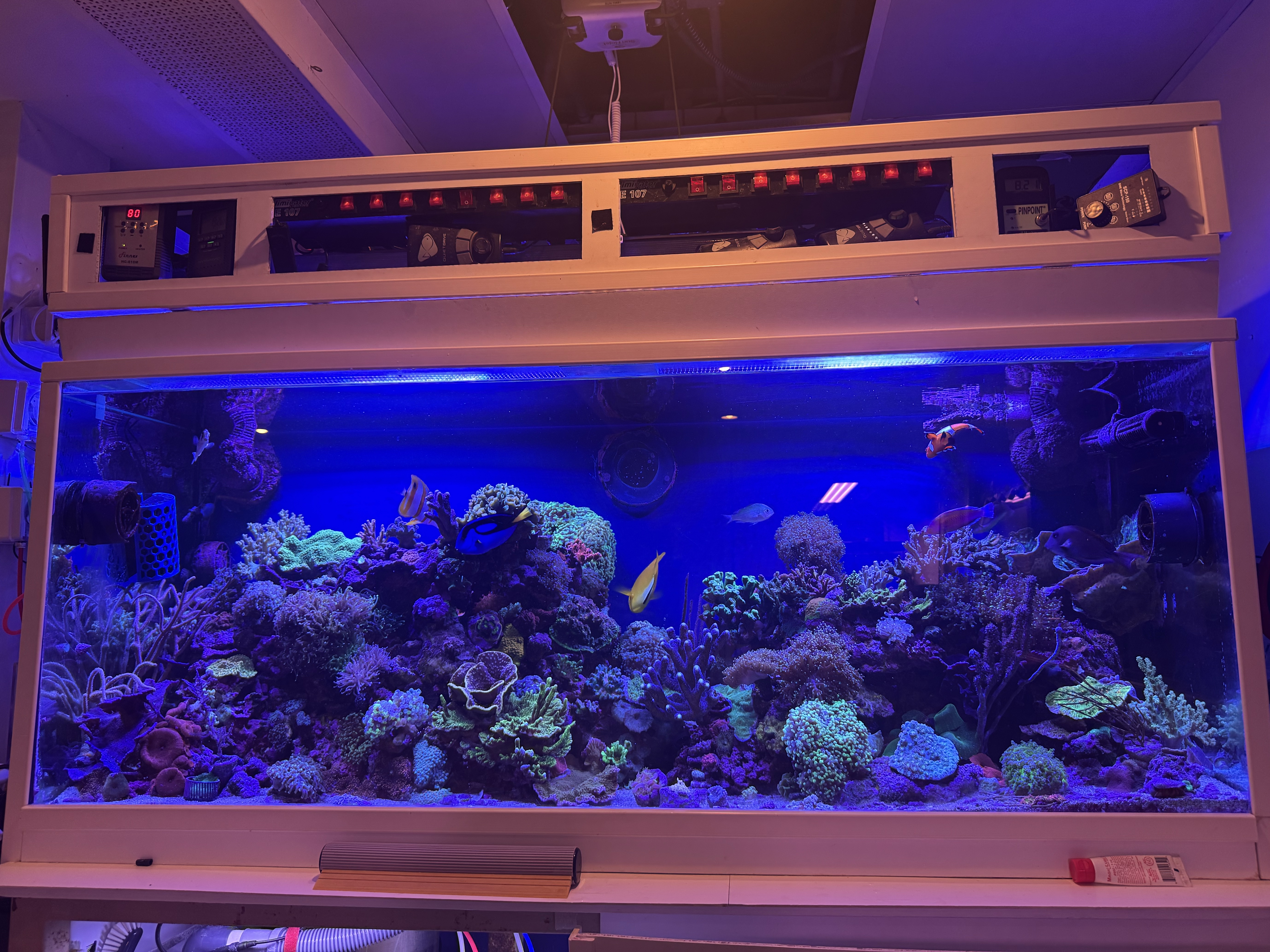 Tank Image