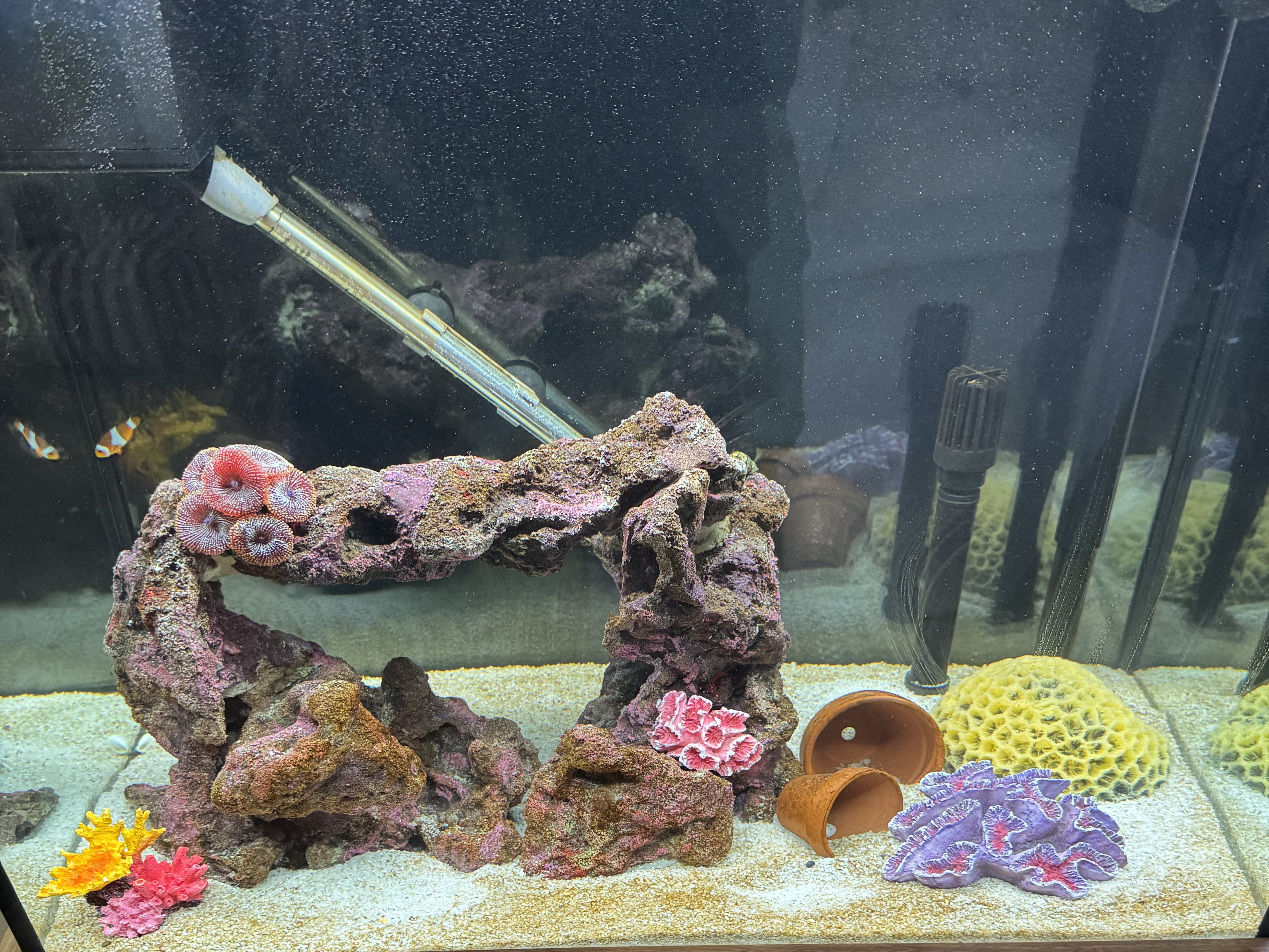 Tank Image