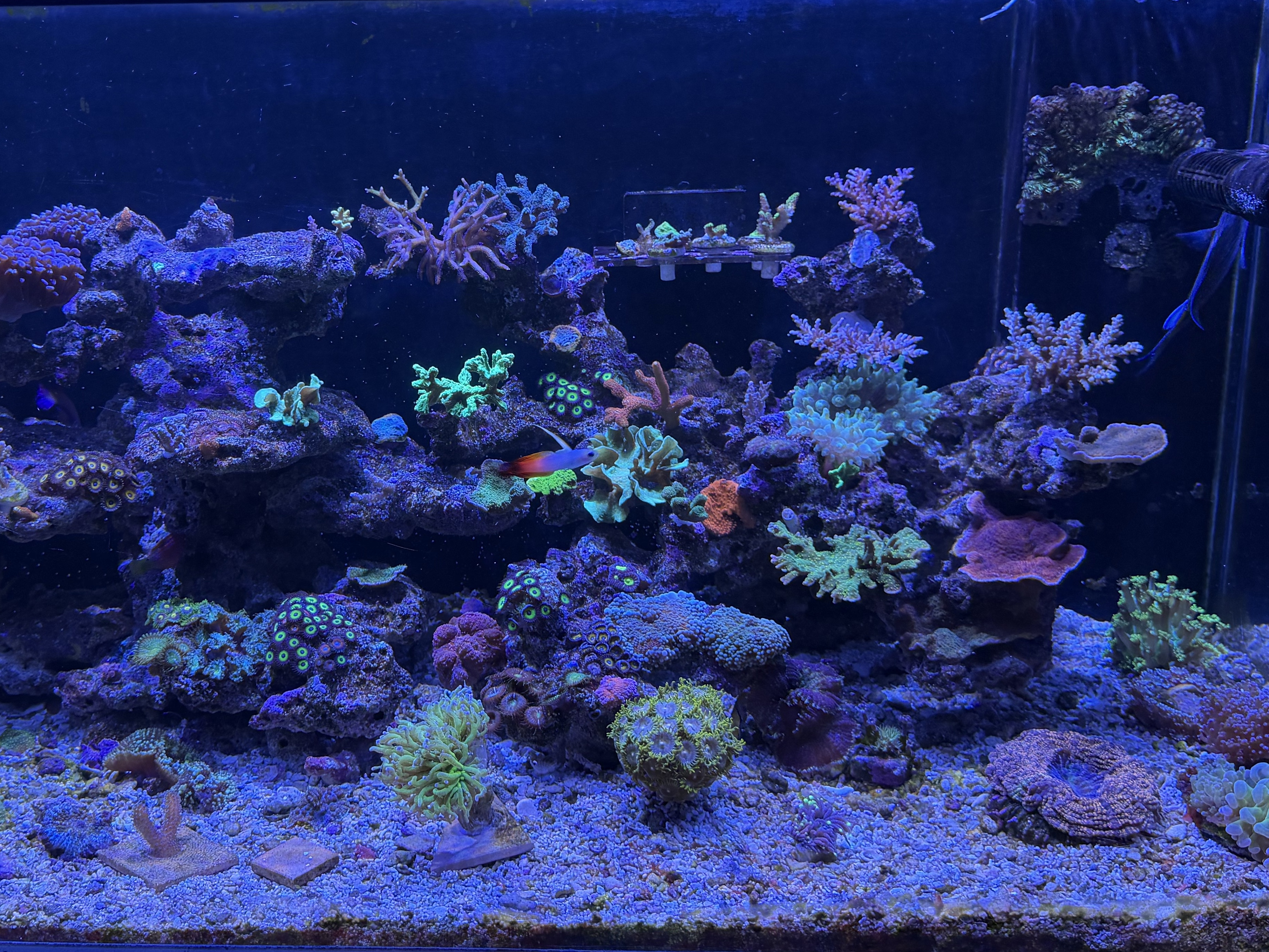 Tank Image