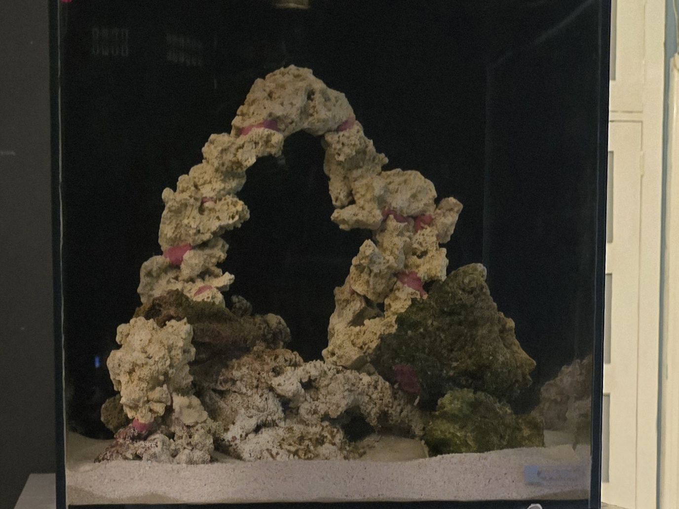 Small reef tank day 3 cycling with live rock and Fluval bacteria