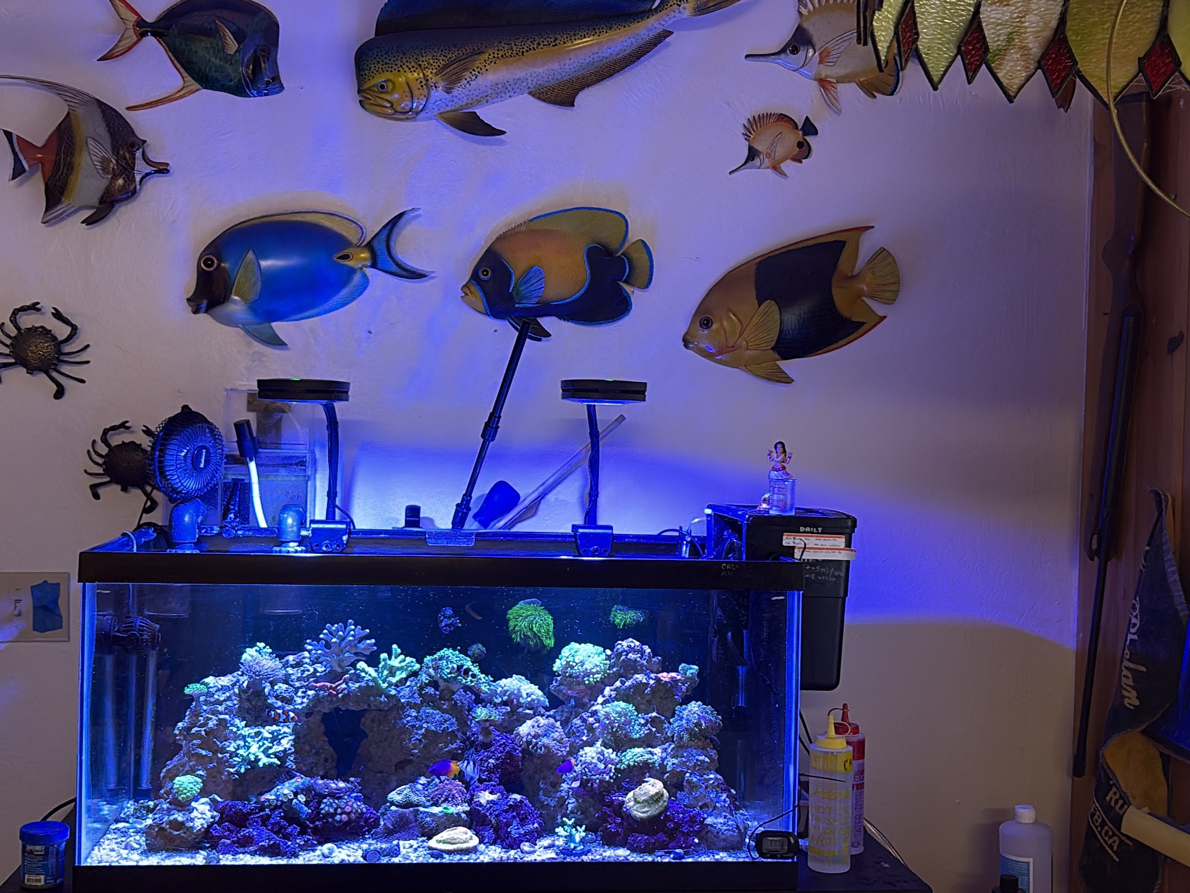 Tank Image