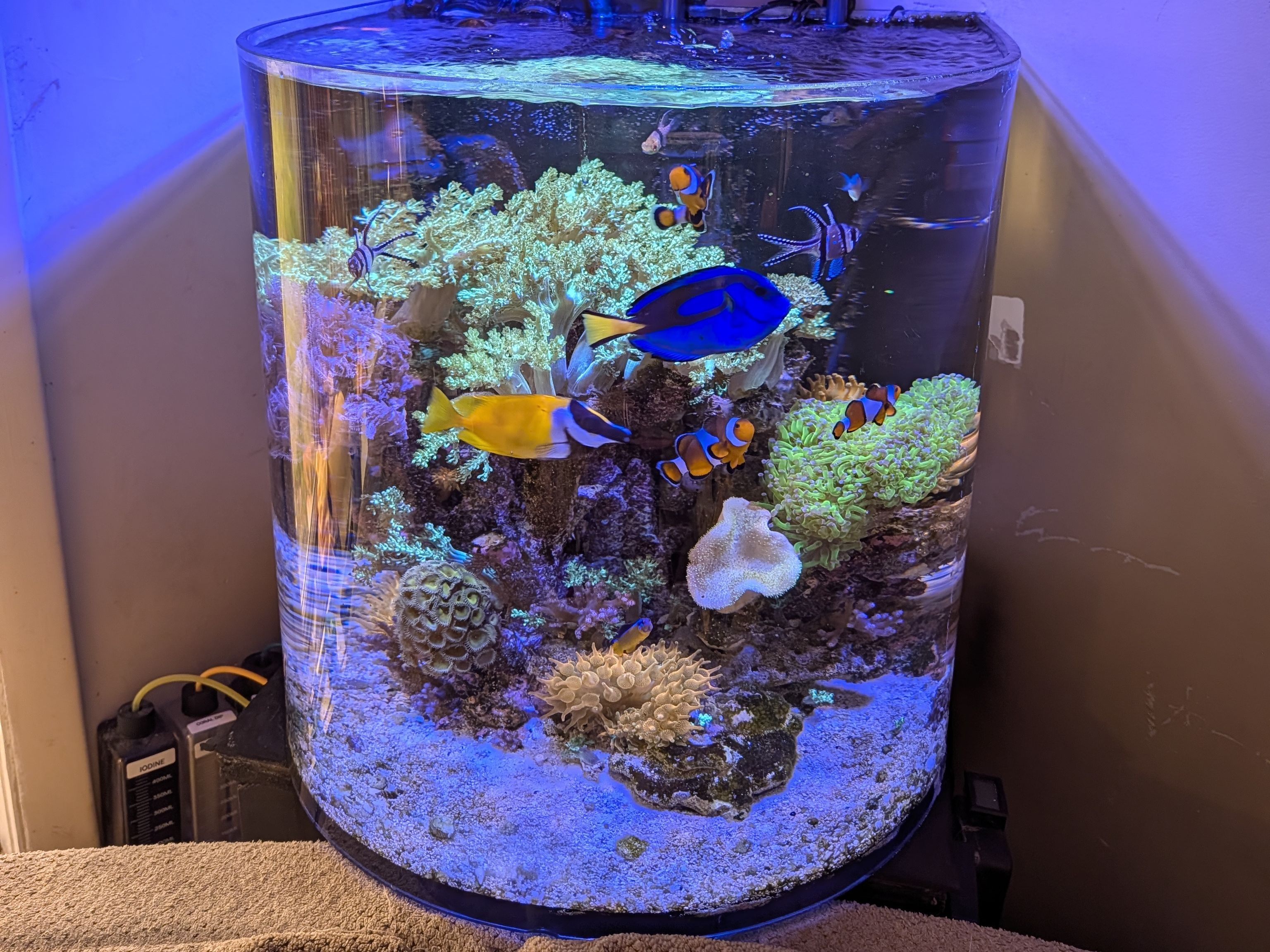 Tank Image