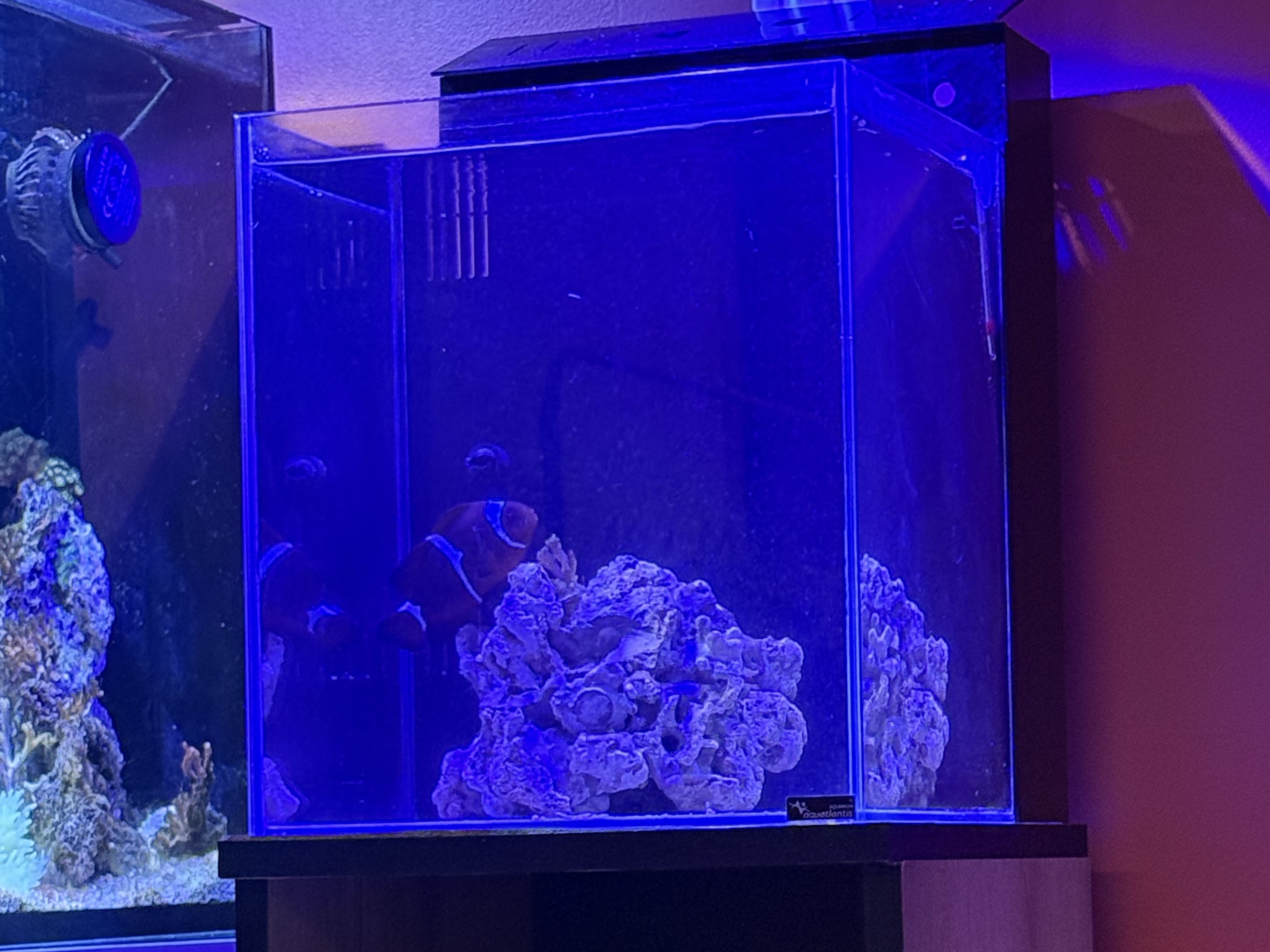 Tank Image