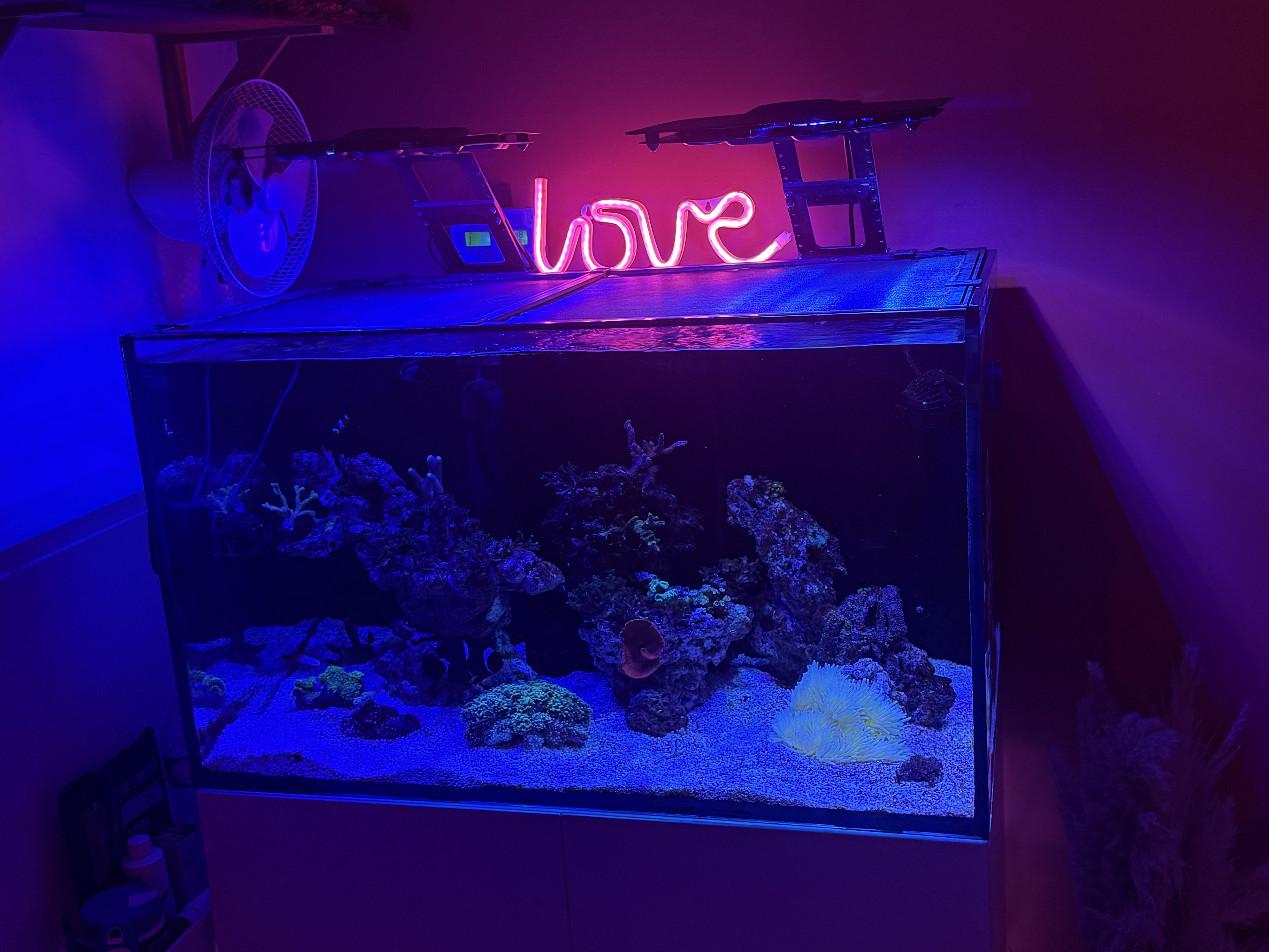 Tank Image