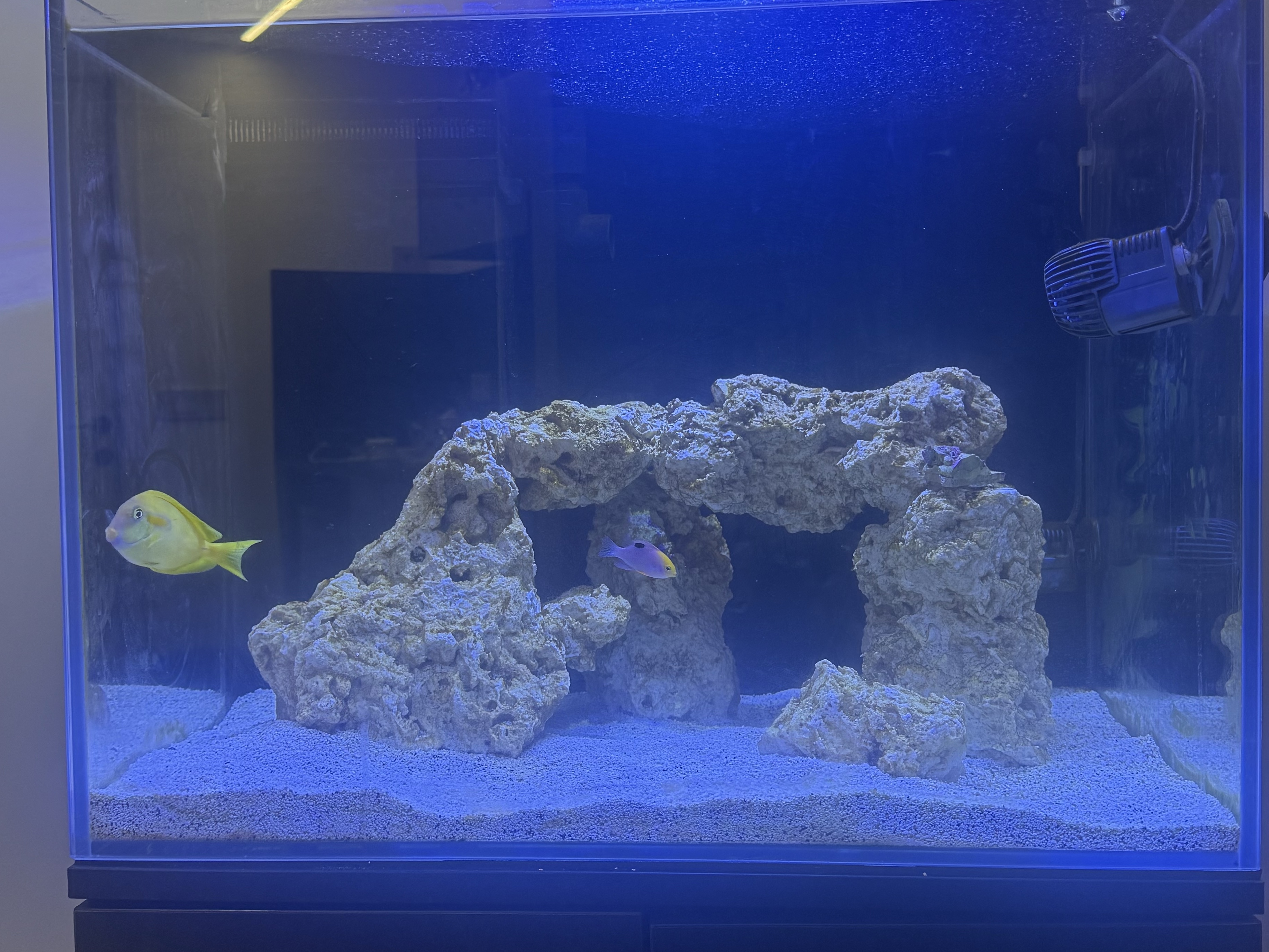 Tank Image
