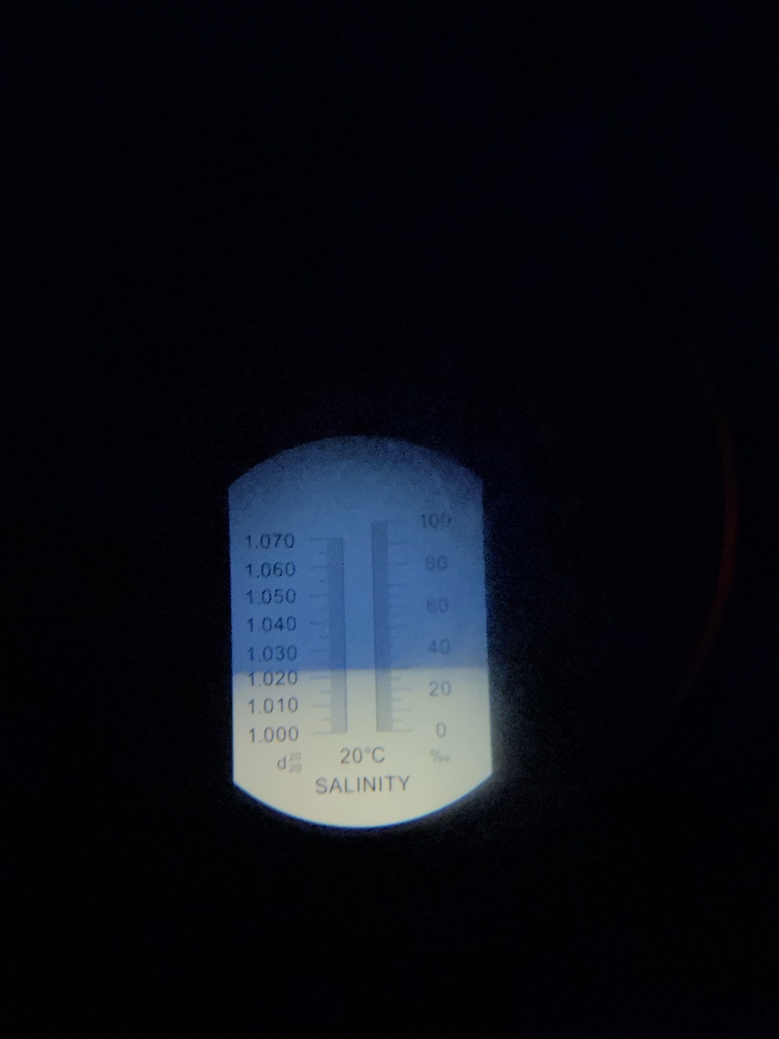 How to increase salinity after accidental saltwater dilution