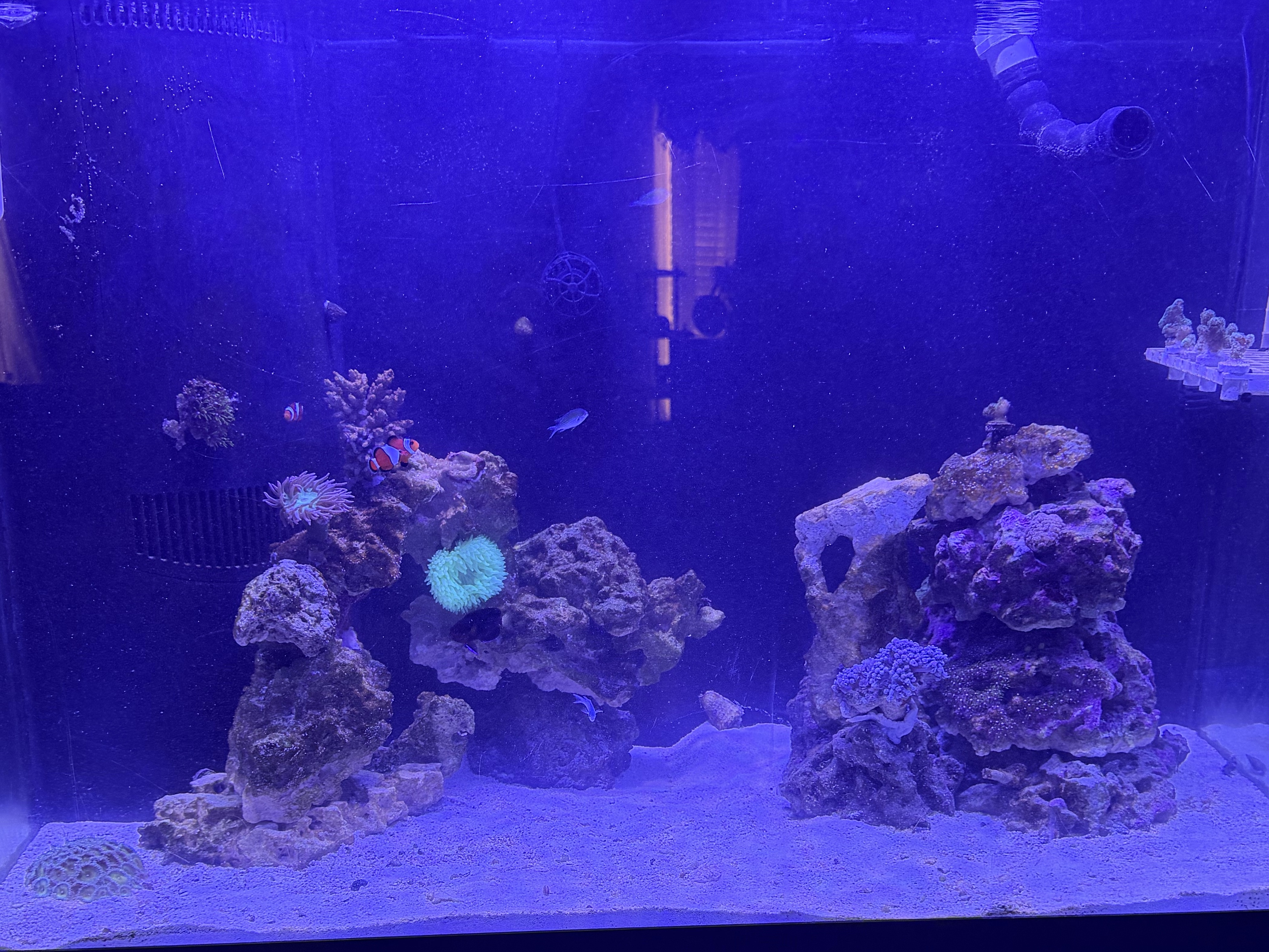 Tank Image