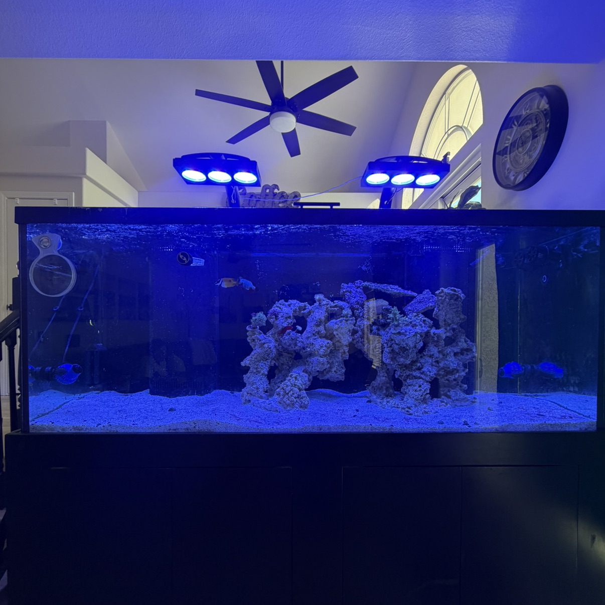 Tank Image