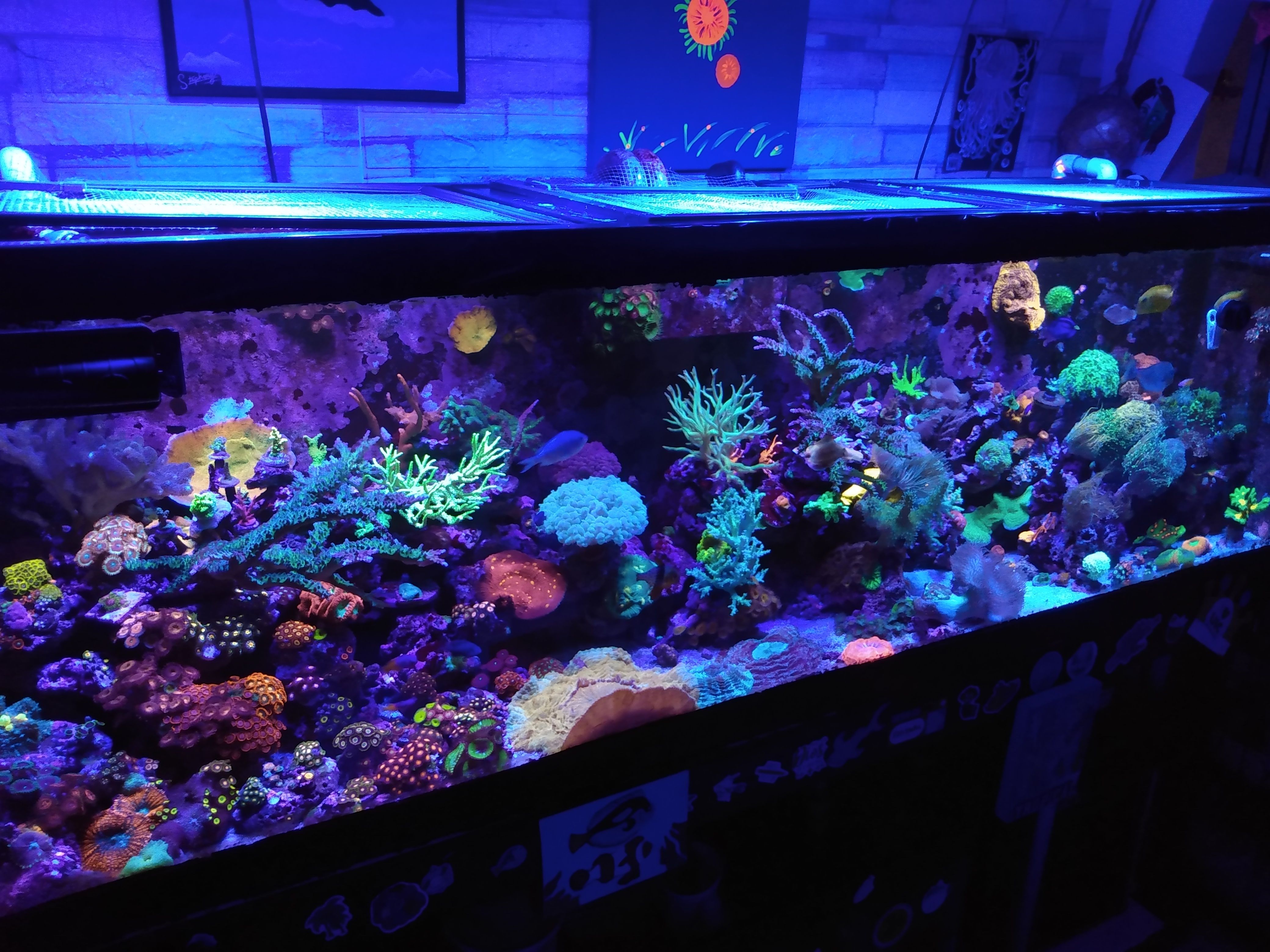 Tank Image
