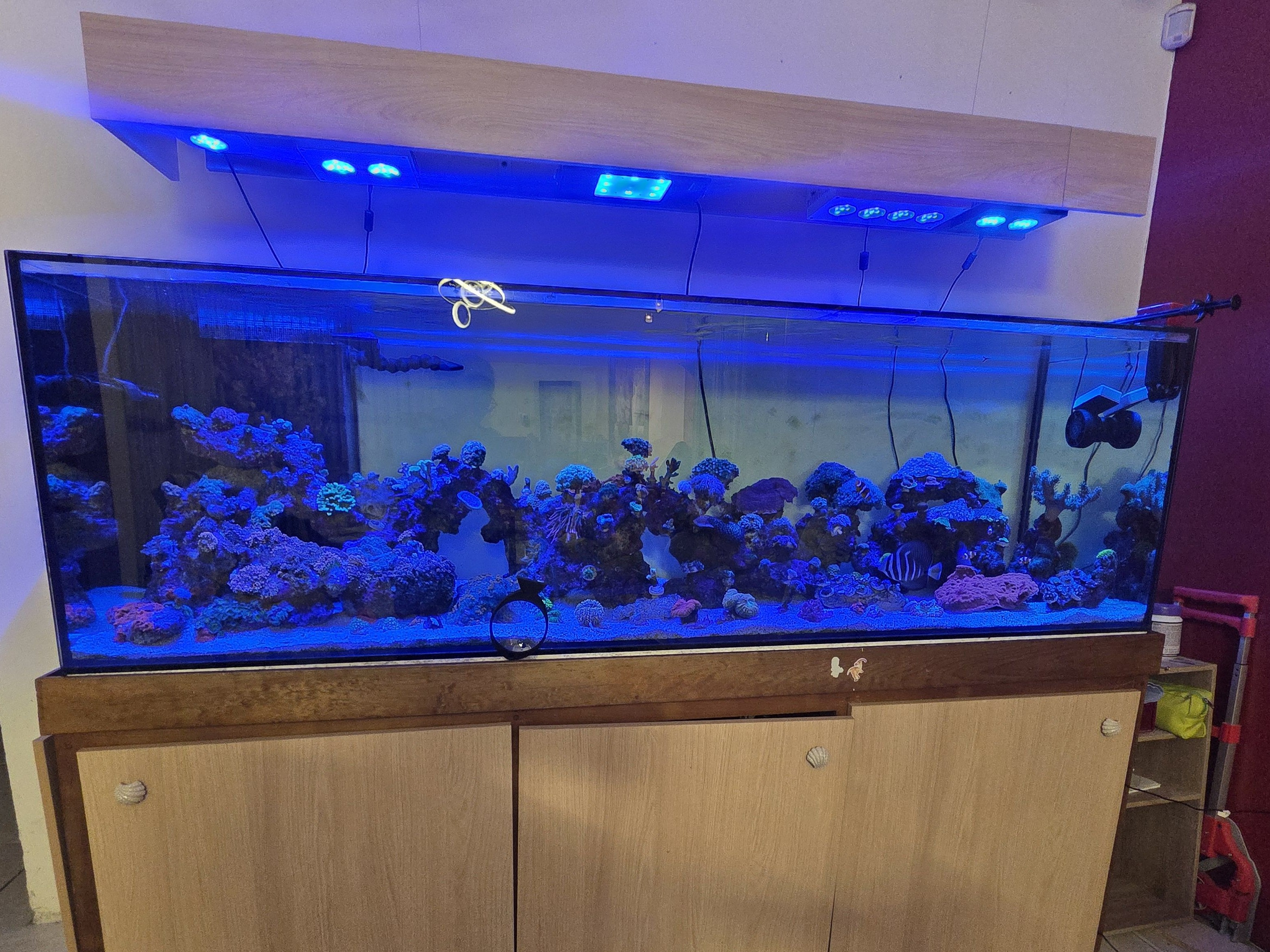 Tank Image