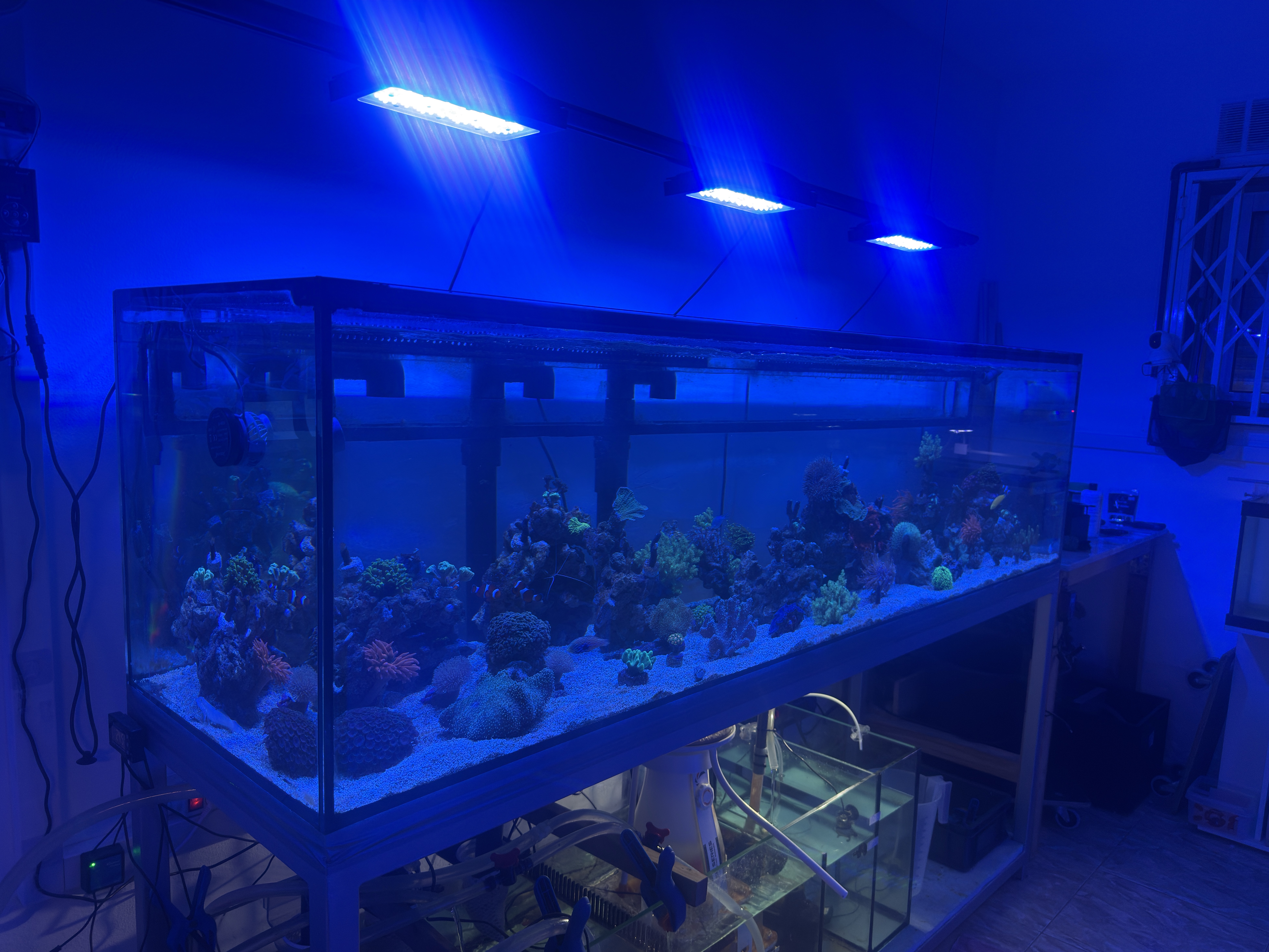 Tank Image