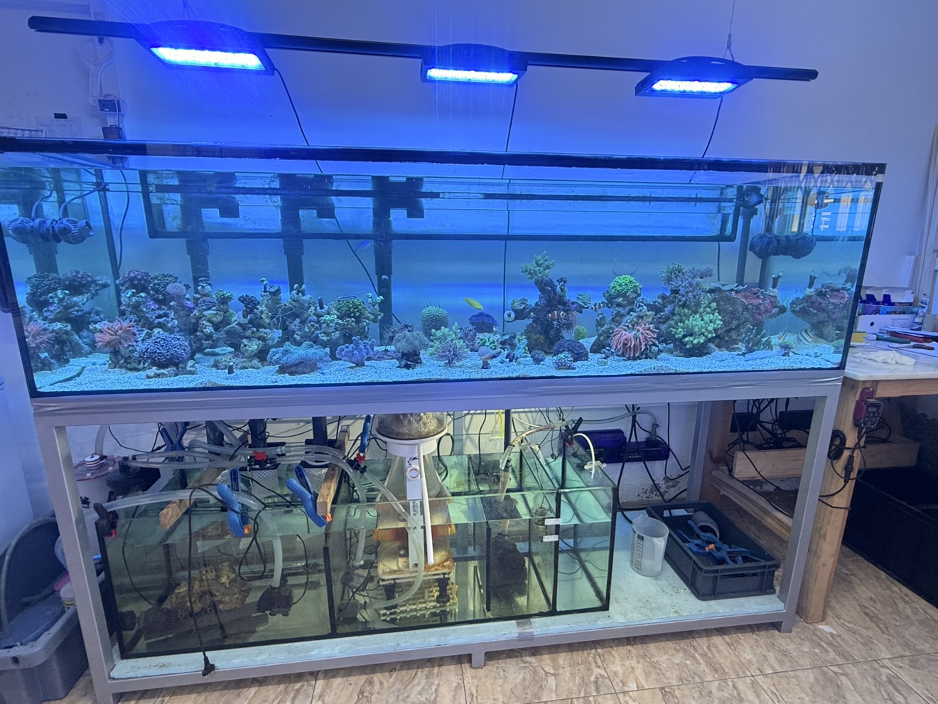 Tank Image