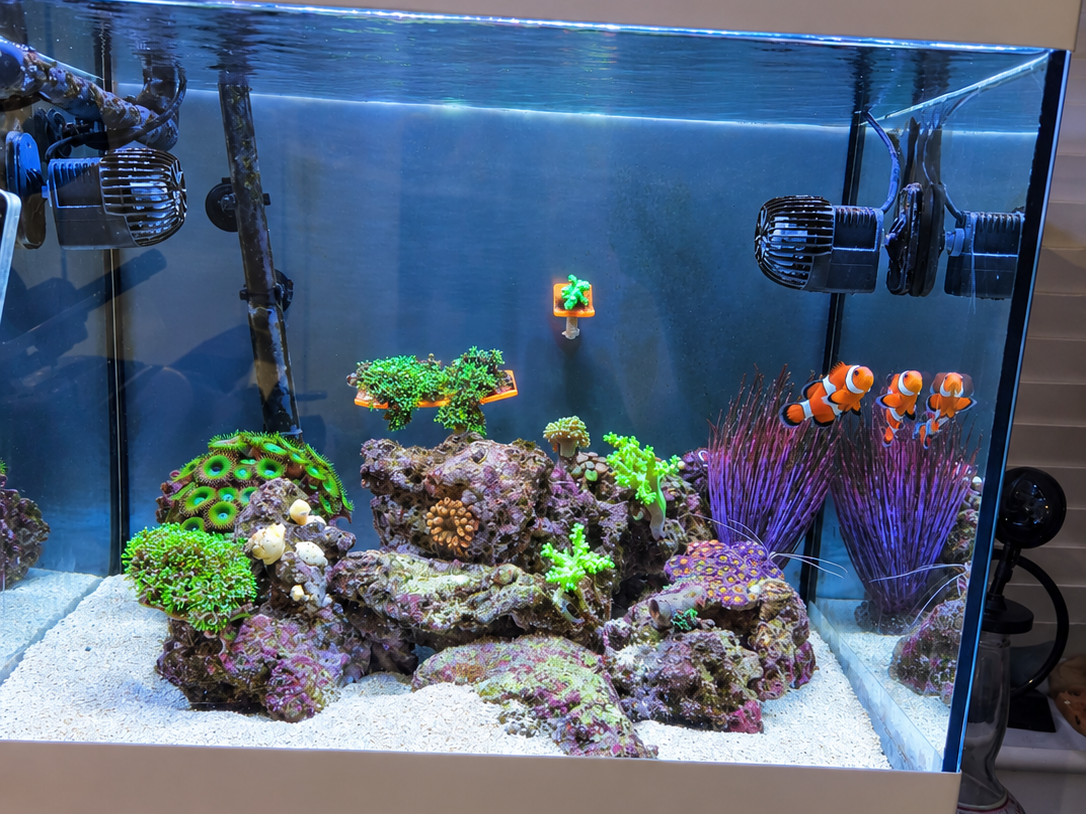Tank Image