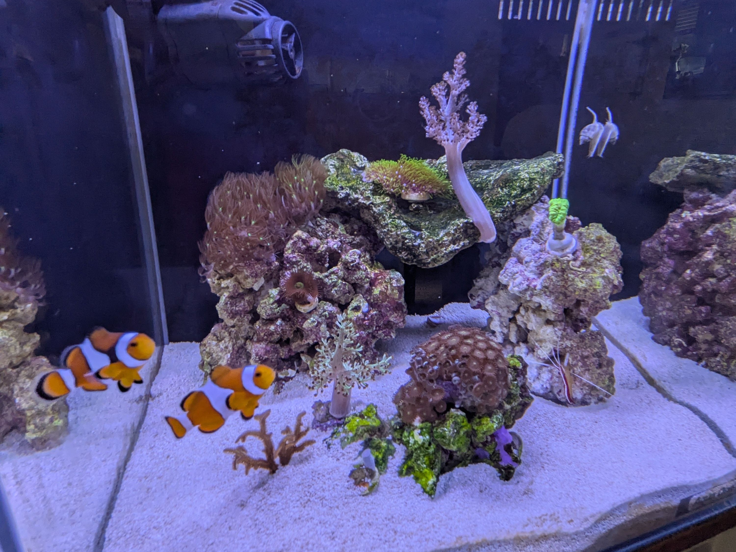 Tank Image