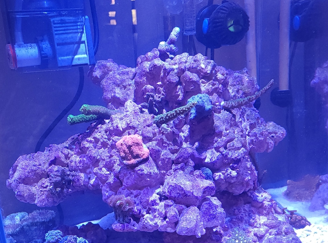 Tank Image