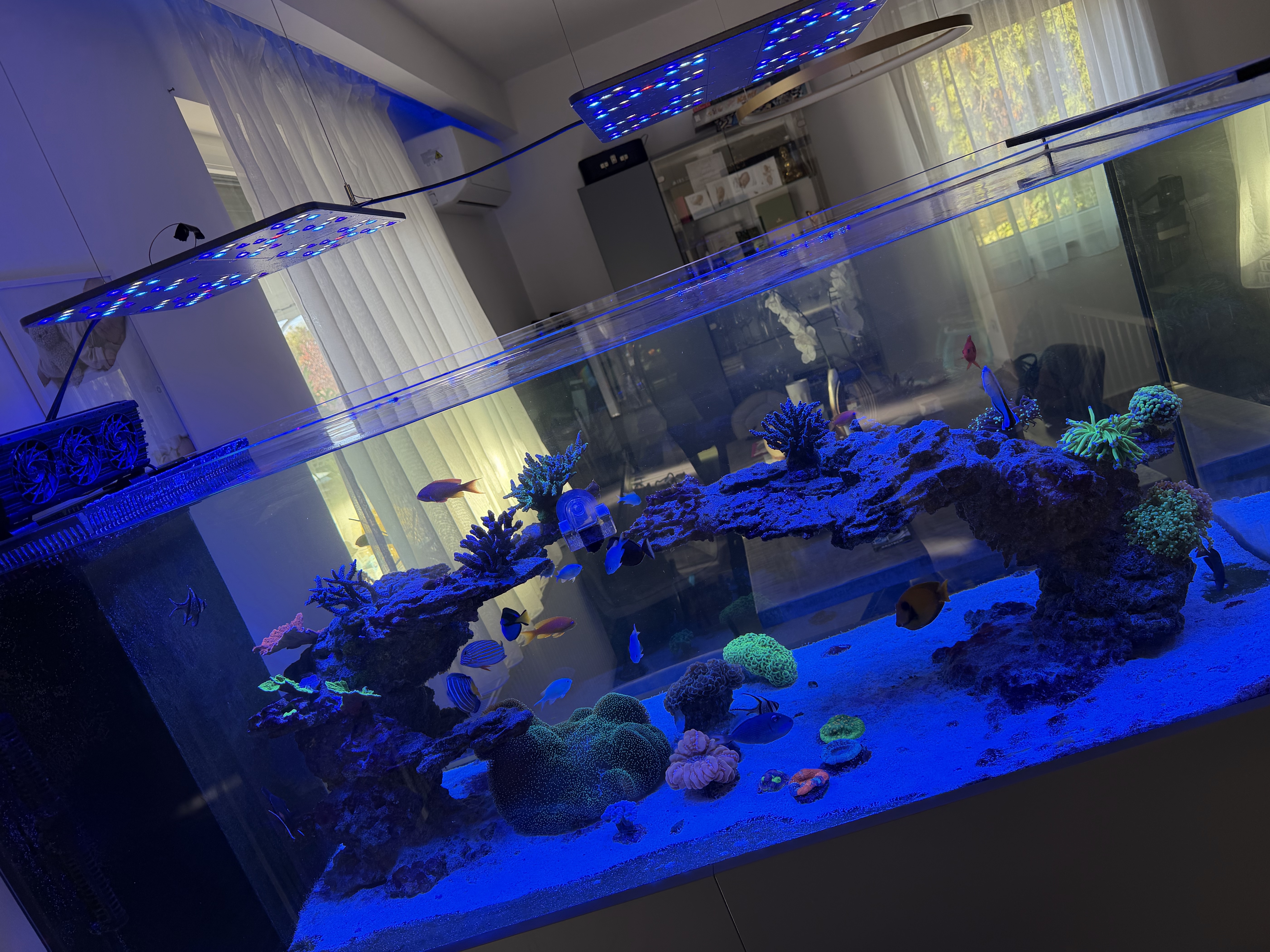 Tank Image