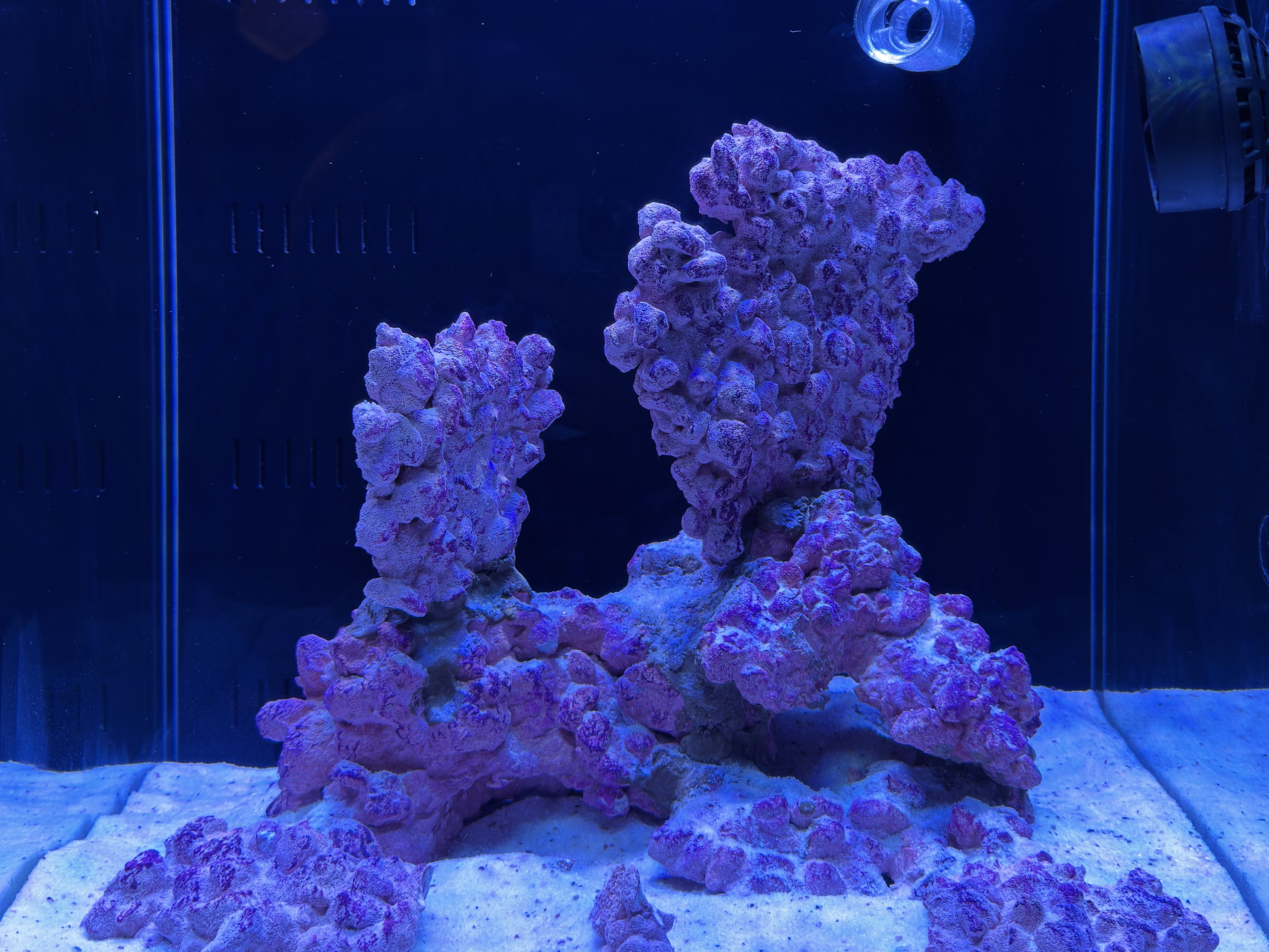 Tank Image