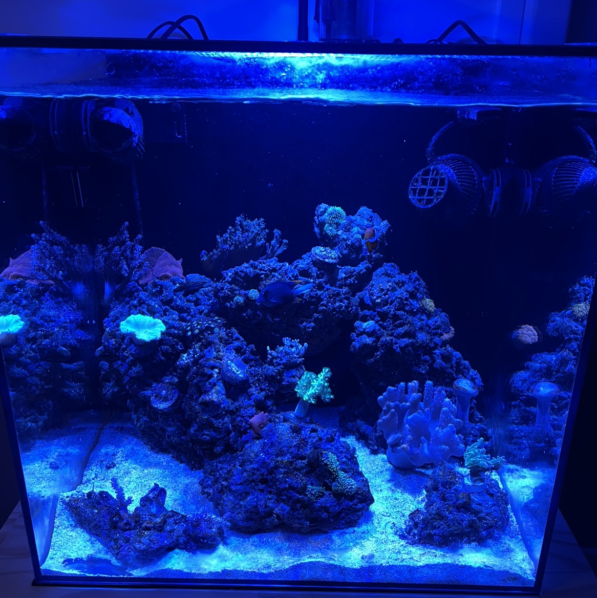 Tank Image