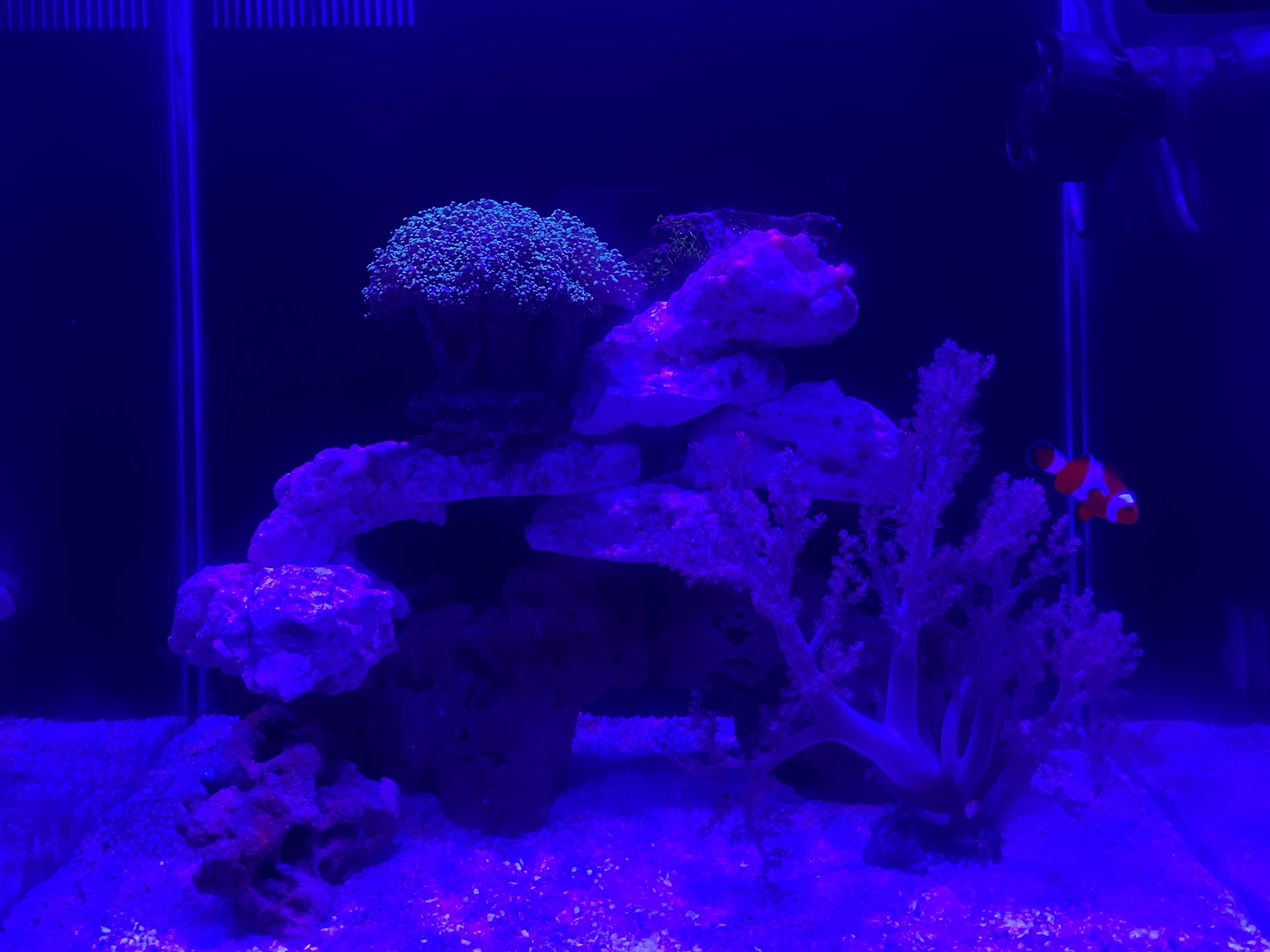 Tank Image