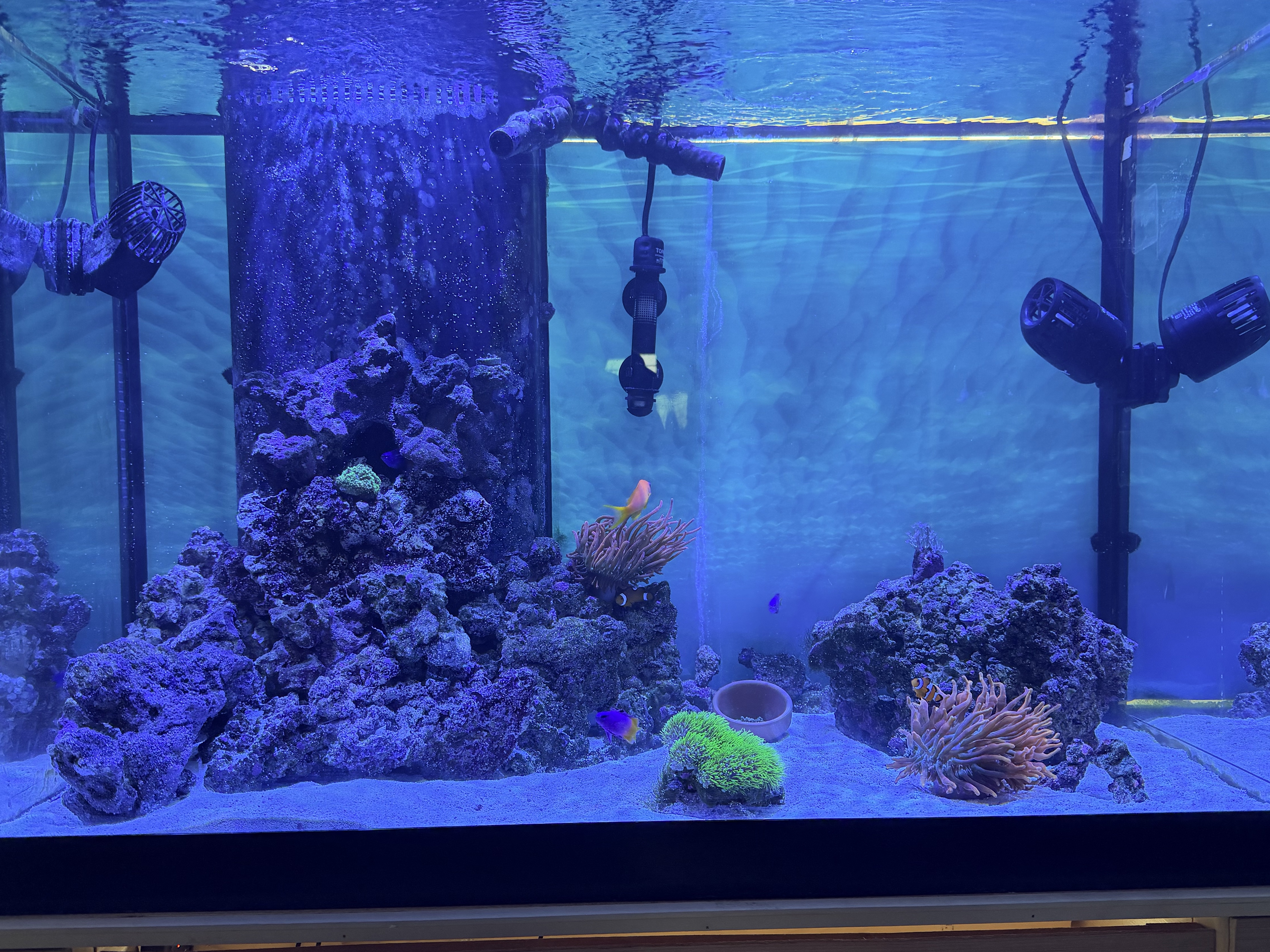 Tank Image