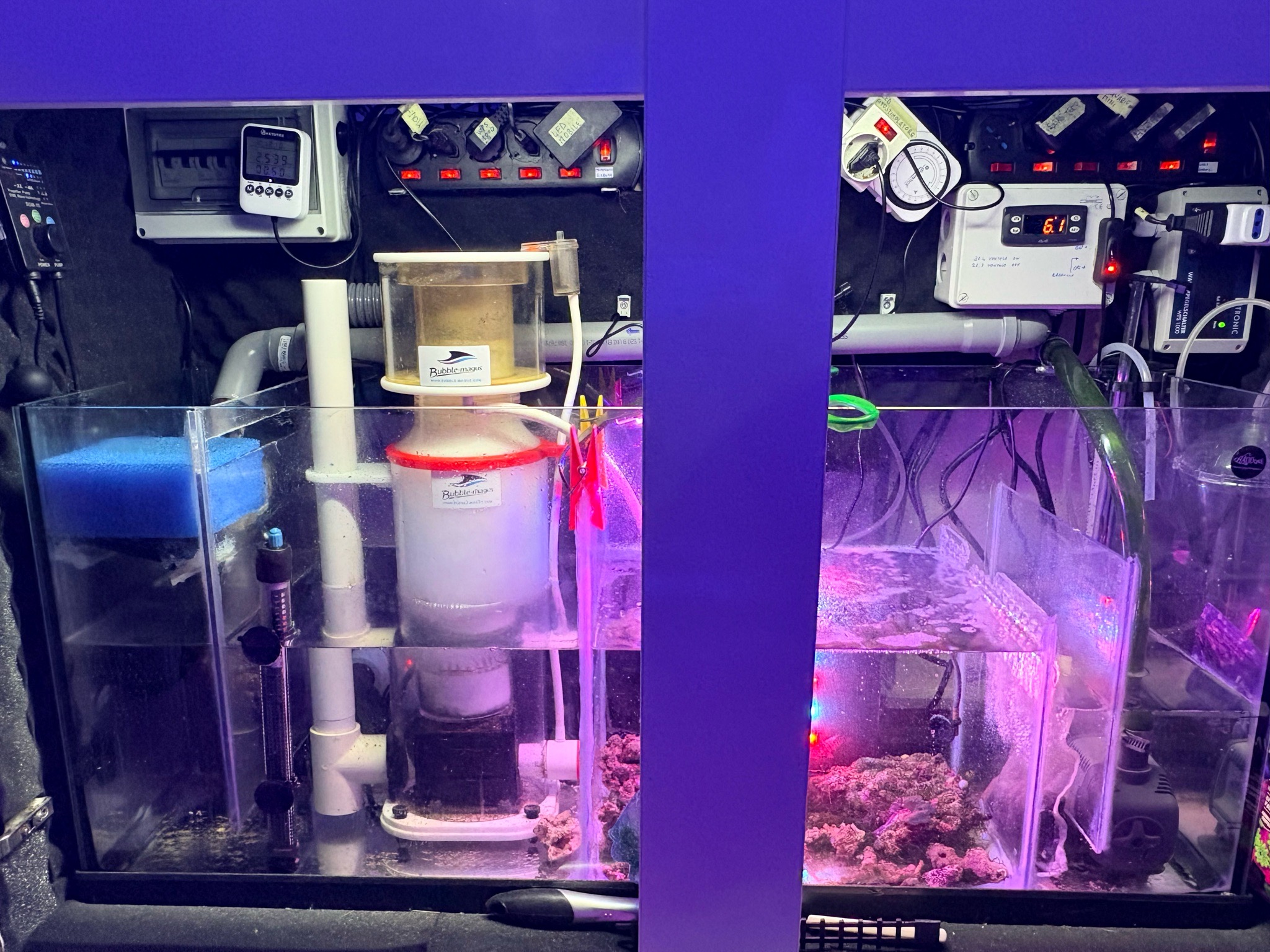 Diy marine reef aquarium with ai hydra lights and bubble magus skimmer - fish, crabs, shrimp (photo 4)