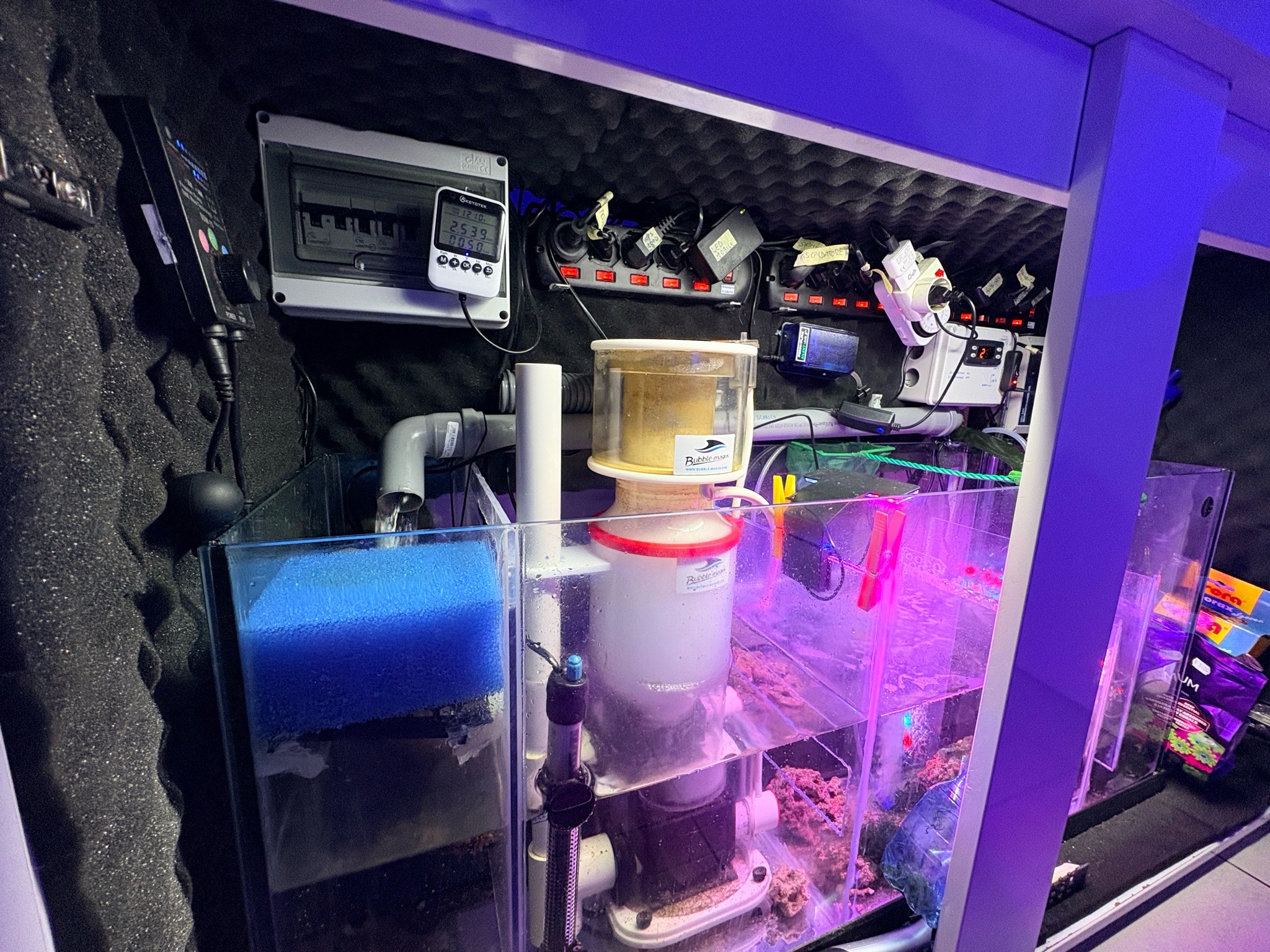Diy marine reef aquarium with ai hydra lights and bubble magus skimmer - fish, crabs, shrimp (photo 3)