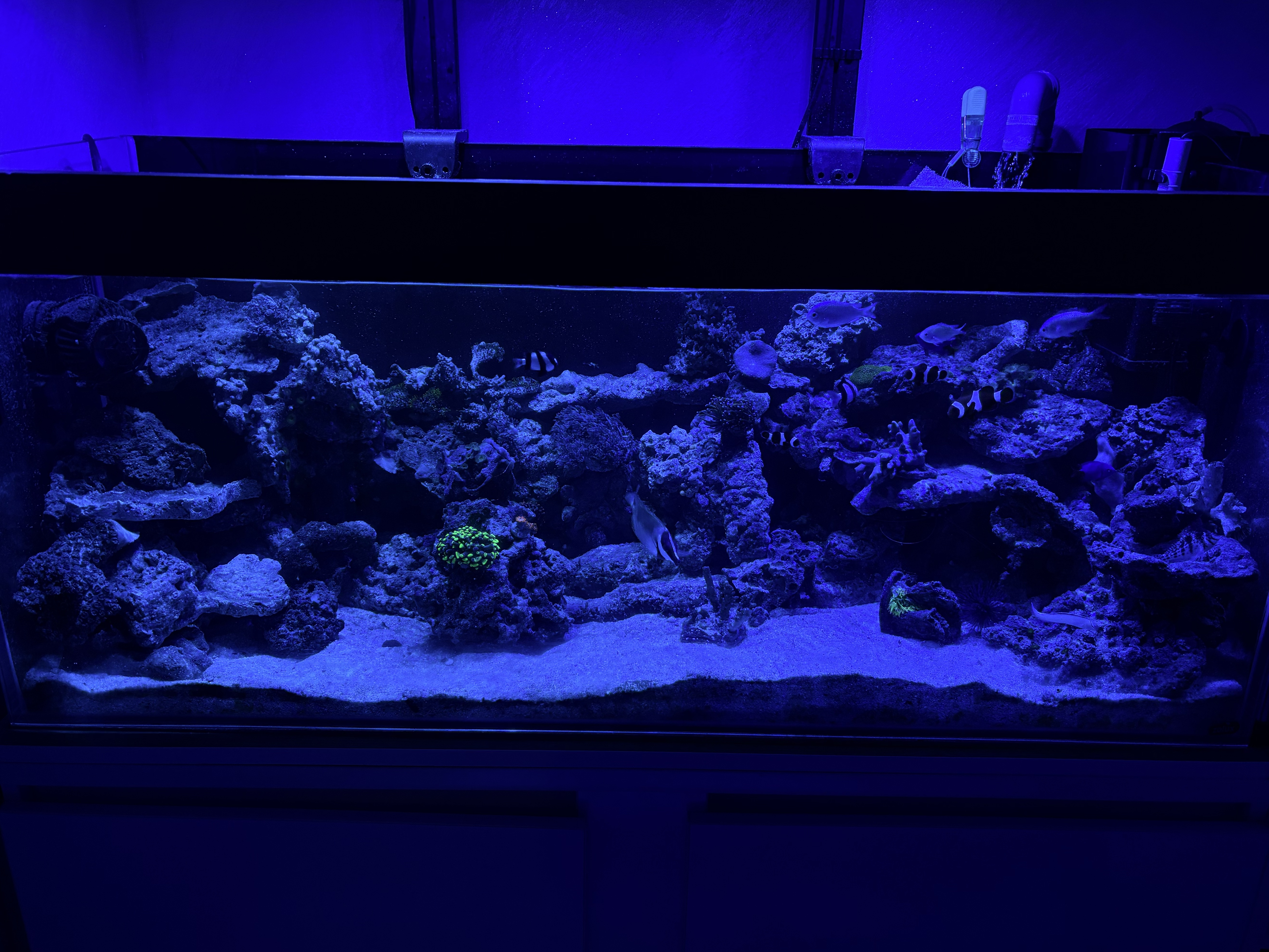 Tank Image