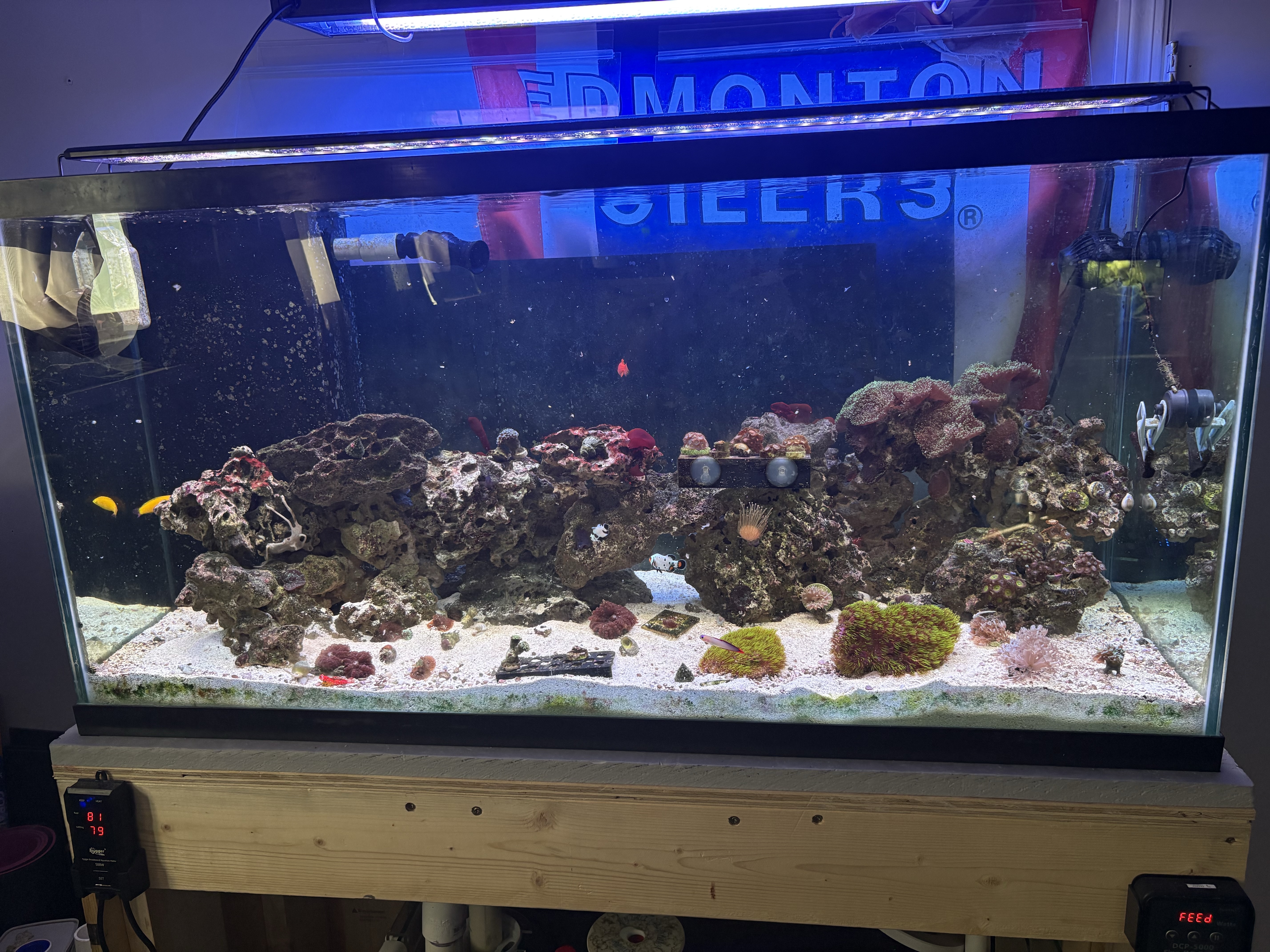 Tank Image
