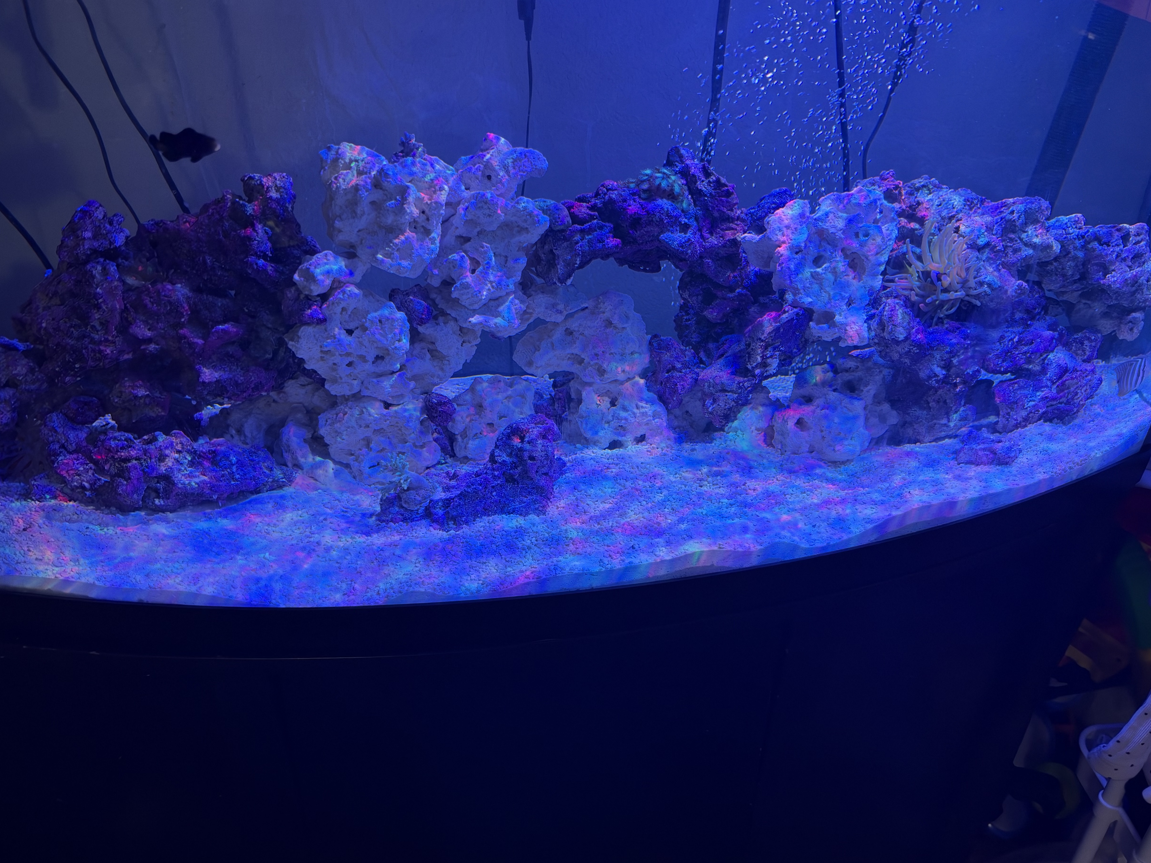 Tank Image