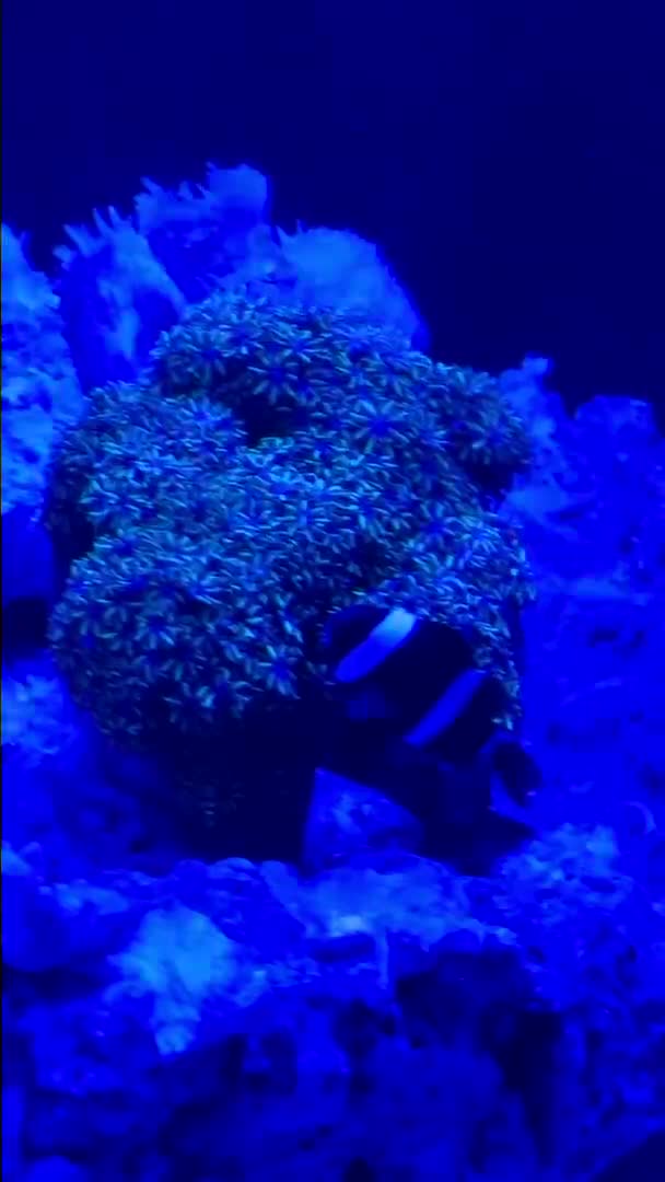 ReefBay post