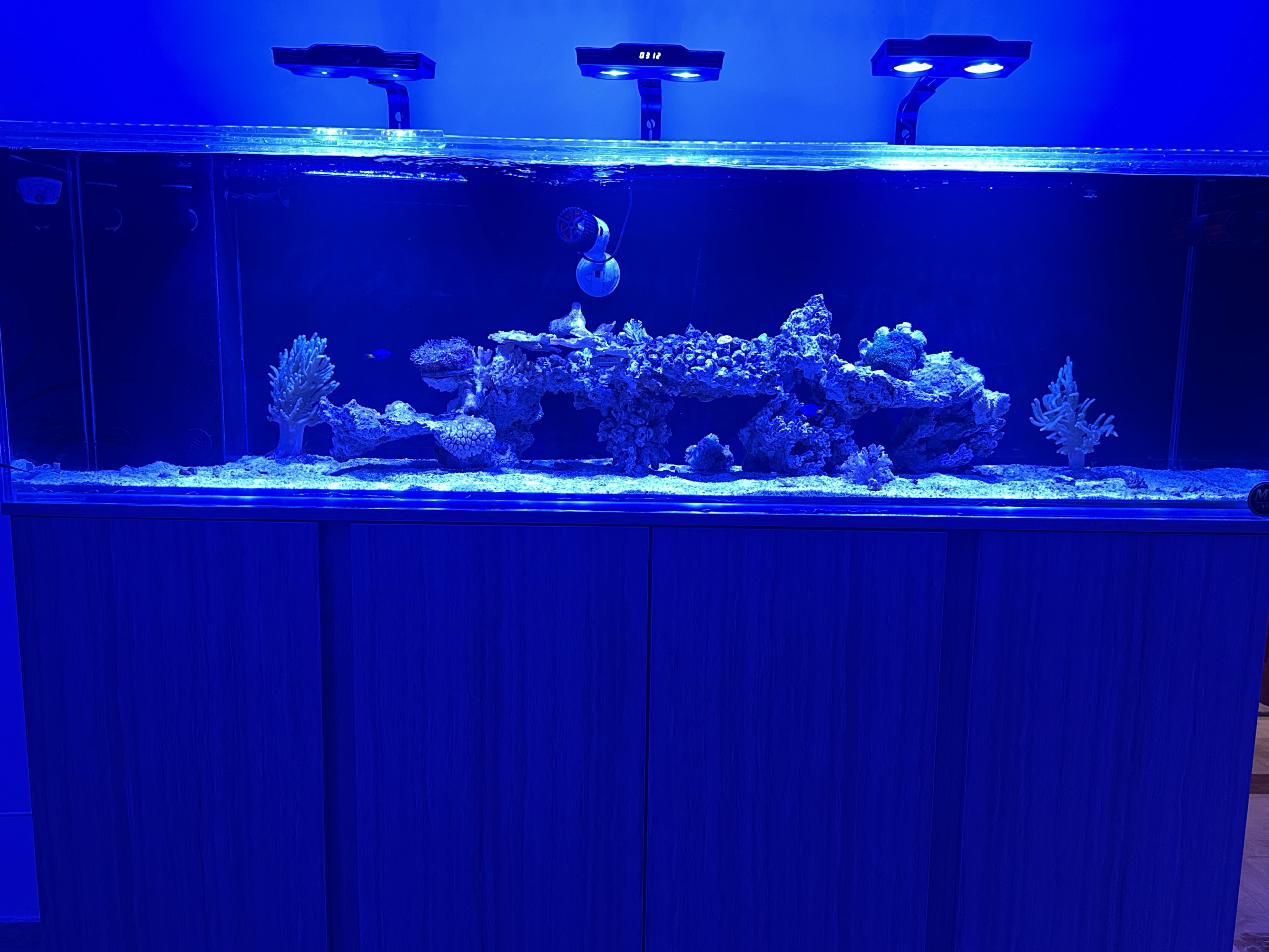 Tank Image
